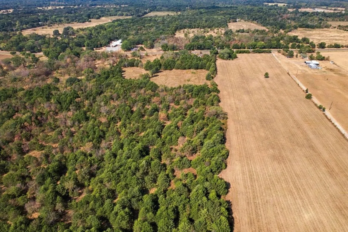 Unimproved Land For Sale in Fannin County , YBD Farm Road 273, Ivanhoe, Texas 75447, 0, 0, Garage spaces, 0 Sqft, built in 0, mls#21393961, Real Estate Agent in Ivanhoe, Homes For Sale in Fannin county, Homes For Sale in Ivanhoe, Realtor in Ivanhoe Texas, Real Estate Brokerage Independent Realty Texas, Luminita Cordes Realtor