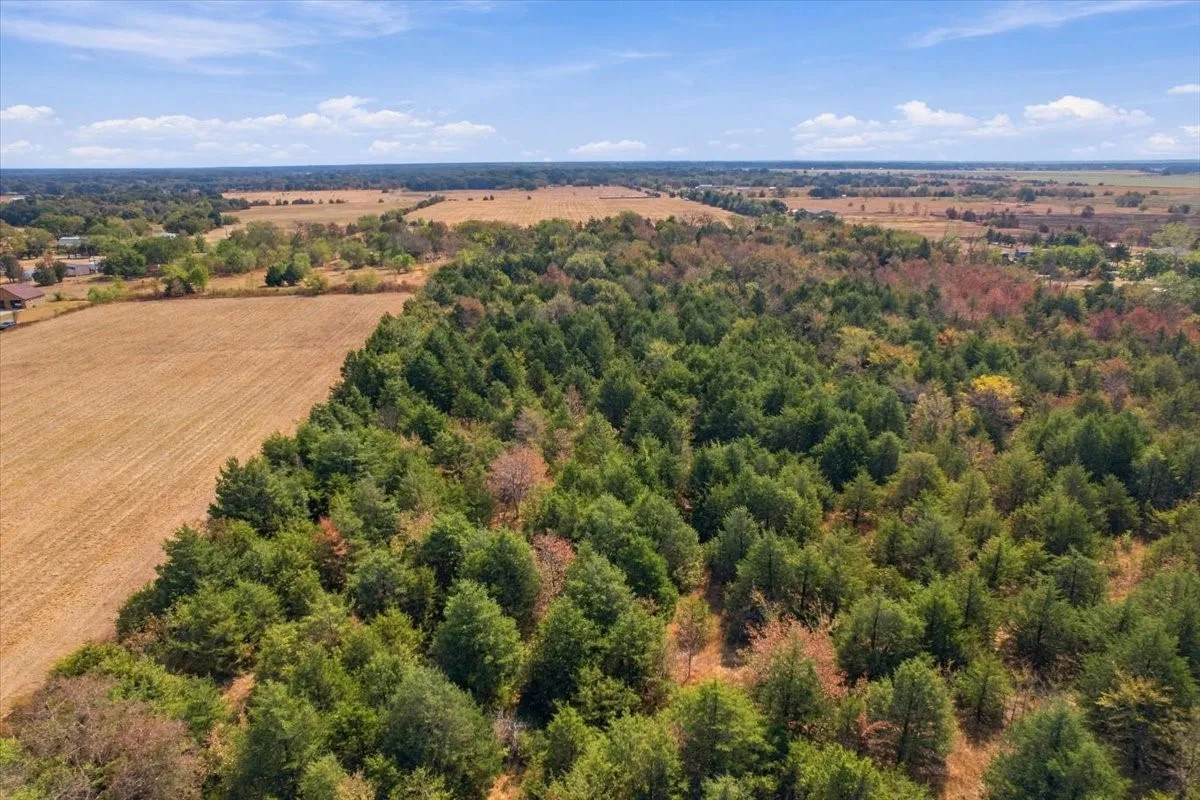 Unimproved Land For Sale in Fannin County , YBD Farm Road 273, Ivanhoe, Texas 75447, 0, 0, Garage spaces, 0 Sqft, built in 0, mls#21393961, Real Estate Agent in Ivanhoe, Homes For Sale in Fannin county, Homes For Sale in Ivanhoe, Realtor in Ivanhoe Texas, Real Estate Brokerage Independent Realty Texas, Luminita Cordes Realtor