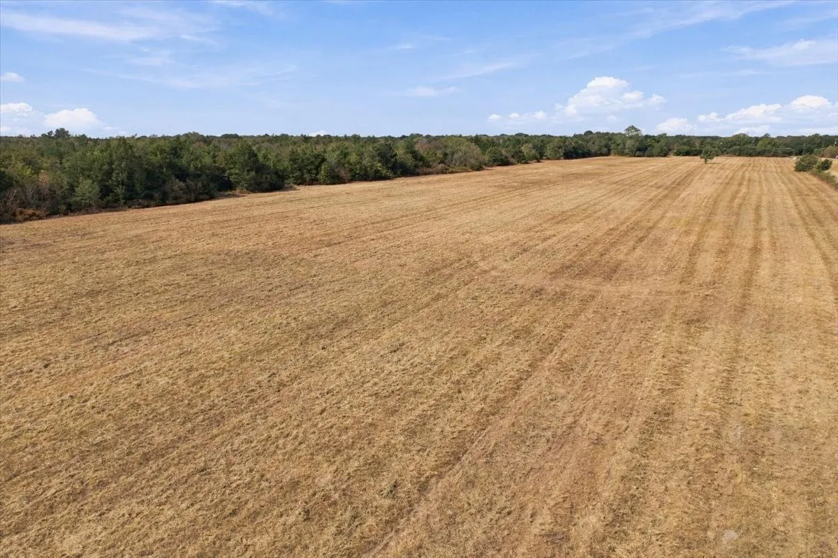 Unimproved Land For Sale in Fannin County , YBD Farm Road 273, Ivanhoe, Texas 75447, 0, 0, Garage spaces, 0 Sqft, built in 0, mls#21393961, Real Estate Agent in Ivanhoe, Homes For Sale in Fannin county, Homes For Sale in Ivanhoe, Realtor in Ivanhoe Texas, Real Estate Brokerage Independent Realty Texas, Luminita Cordes Realtor