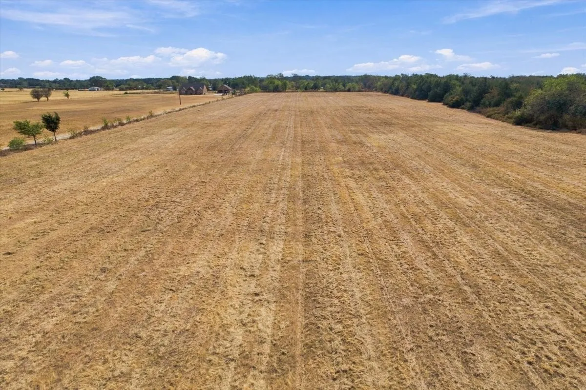 Unimproved Land For Sale in Fannin County , YBD Farm Road 273, Ivanhoe, Texas 75447, 0, 0, Garage spaces, 0 Sqft, built in 0, mls#21393961, Real Estate Agent in Ivanhoe, Homes For Sale in Fannin county, Homes For Sale in Ivanhoe, Realtor in Ivanhoe Texas, Real Estate Brokerage Independent Realty Texas, Luminita Cordes Realtor