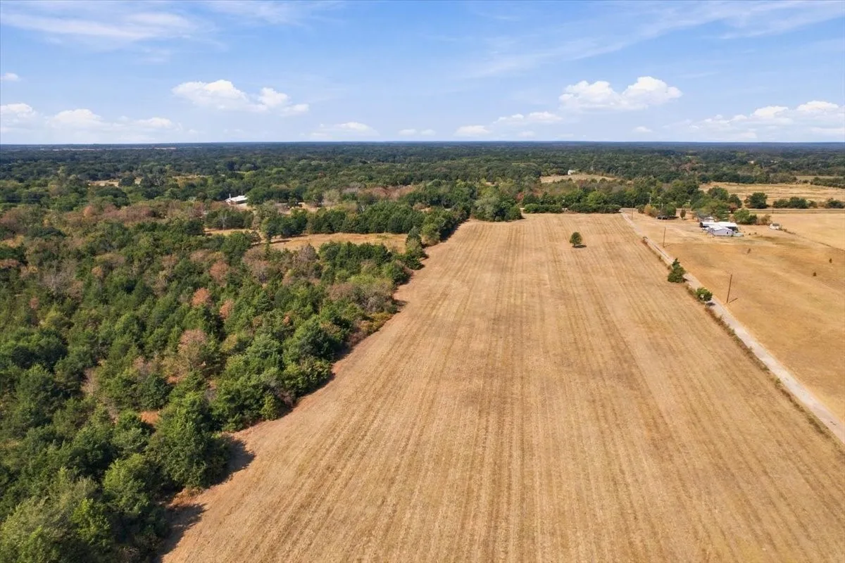 Unimproved Land For Sale in Fannin County , YBD Farm Road 273, Ivanhoe, Texas 75447, 0, 0, Garage spaces, 0 Sqft, built in 0, mls#21393961, Real Estate Agent in Ivanhoe, Homes For Sale in Fannin county, Homes For Sale in Ivanhoe, Realtor in Ivanhoe Texas, Real Estate Brokerage Independent Realty Texas, Luminita Cordes Realtor