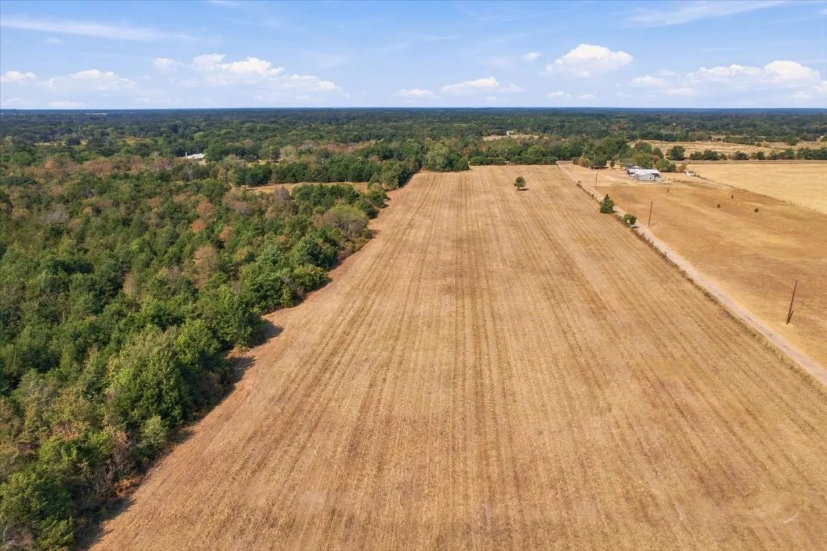 Unimproved Land For Sale in Fannin County , YBD Farm Road 273, Ivanhoe, Texas 75447, 0, 0, Garage spaces, 0 Sqft, built in 0, mls#21393961, Real Estate Agent in Ivanhoe, Homes For Sale in Fannin county, Homes For Sale in Ivanhoe, Realtor in Ivanhoe Texas, Real Estate Brokerage Independent Realty Texas, Luminita Cordes Realtor