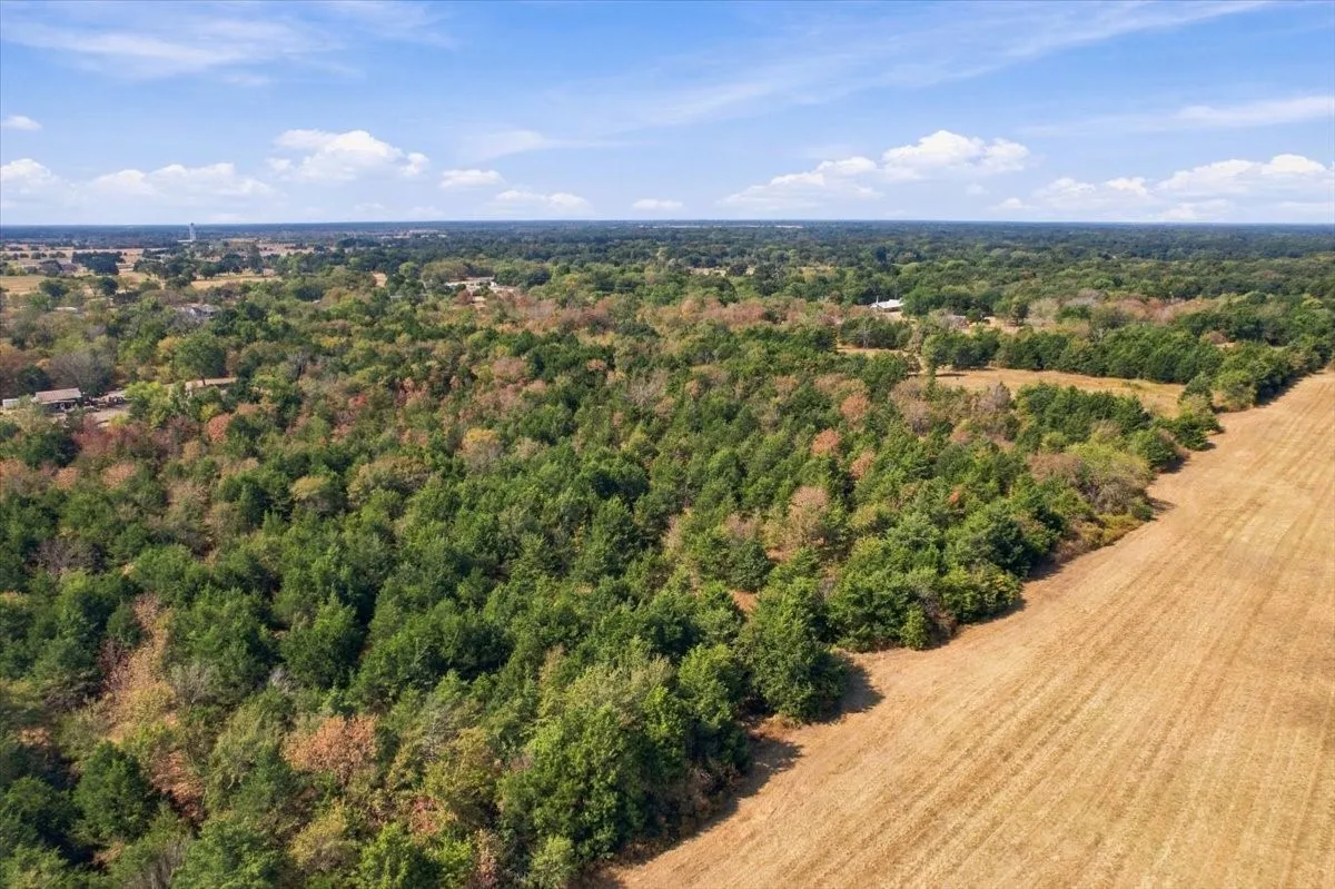 Unimproved Land For Sale in Fannin County , YBD Farm Road 273, Ivanhoe, Texas 75447, 0, 0, Garage spaces, 0 Sqft, built in 0, mls#21393961, Real Estate Agent in Ivanhoe, Homes For Sale in Fannin county, Homes For Sale in Ivanhoe, Realtor in Ivanhoe Texas, Real Estate Brokerage Independent Realty Texas, Luminita Cordes Realtor