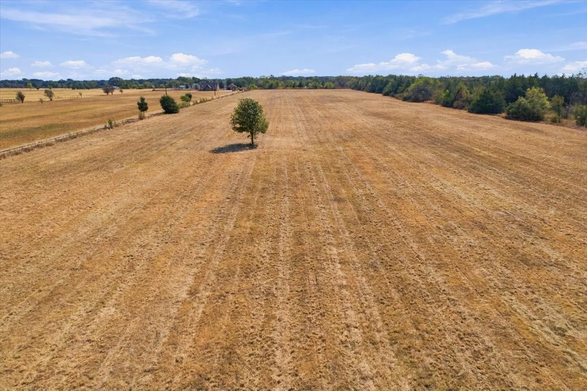 Unimproved Land For Sale in Fannin County , YBD Farm Road 273, Ivanhoe, Texas 75447, 0, 0, Garage spaces, 0 Sqft, built in 0, mls#21393961, Real Estate Agent in Ivanhoe, Homes For Sale in Fannin county, Homes For Sale in Ivanhoe, Realtor in Ivanhoe Texas, Real Estate Brokerage Independent Realty Texas, Luminita Cordes Realtor