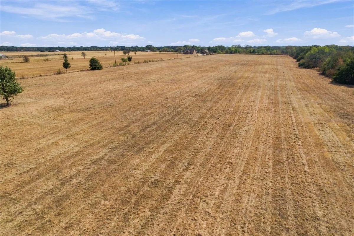 Unimproved Land For Sale in Fannin County , YBD Farm Road 273, Ivanhoe, Texas 75447, 0, 0, Garage spaces, 0 Sqft, built in 0, mls#21393961, Real Estate Agent in Ivanhoe, Homes For Sale in Fannin county, Homes For Sale in Ivanhoe, Realtor in Ivanhoe Texas, Real Estate Brokerage Independent Realty Texas, Luminita Cordes Realtor