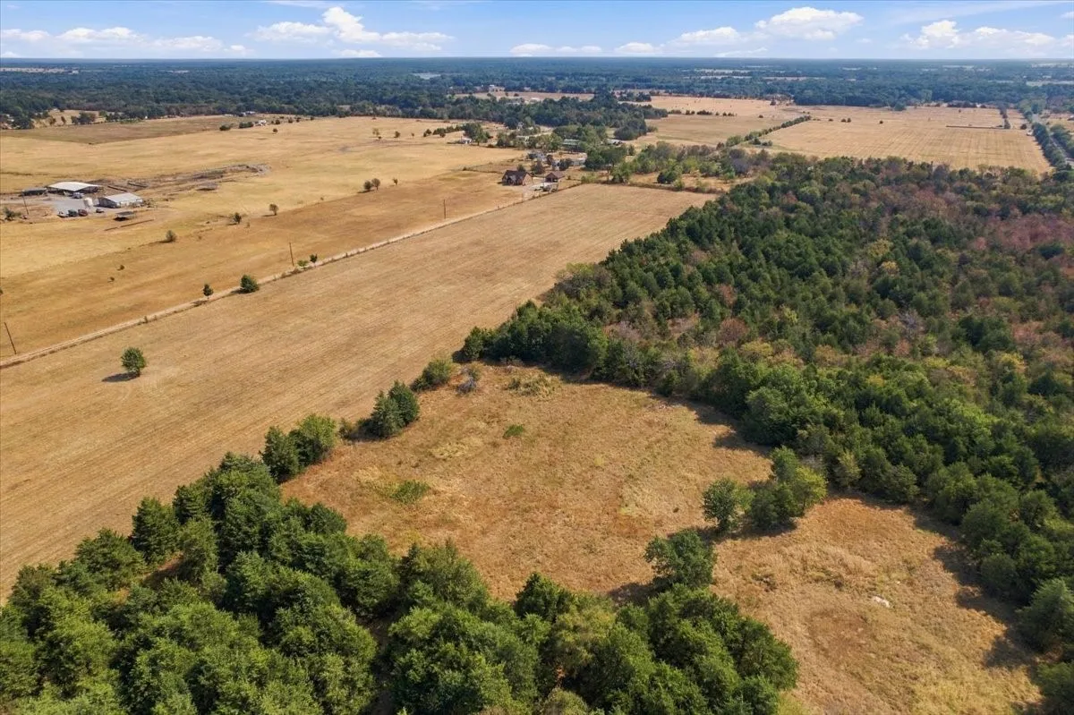 Unimproved Land For Sale in Fannin County , YBD Farm Road 273, Ivanhoe, Texas 75447, 0, 0, Garage spaces, 0 Sqft, built in 0, mls#21393961, Real Estate Agent in Ivanhoe, Homes For Sale in Fannin county, Homes For Sale in Ivanhoe, Realtor in Ivanhoe Texas, Real Estate Brokerage Independent Realty Texas, Luminita Cordes Realtor