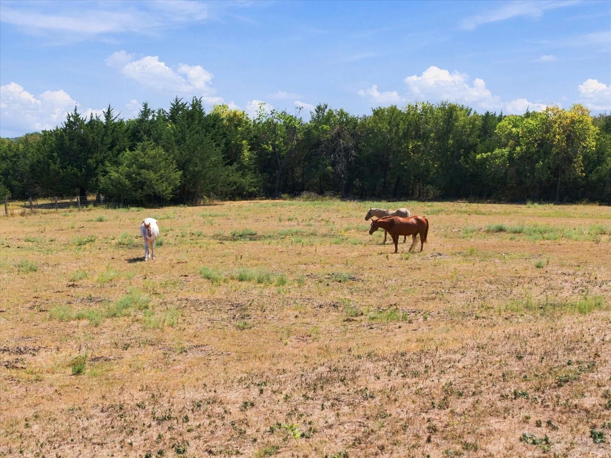 Unimproved Land For Sale in Rockwall County , 7+AC Anna Cade, Rockwall, Texas 75087, 0, 0, Garage spaces, 0 Sqft, built in 0, mls#21390139, Real Estate Agent in Rockwall, Homes For Sale in Rockwall county, Homes For Sale in Rockwall, Realtor in Rockwall Texas, Real Estate Brokerage Independent Realty Texas, Luminita Cordes Realtor