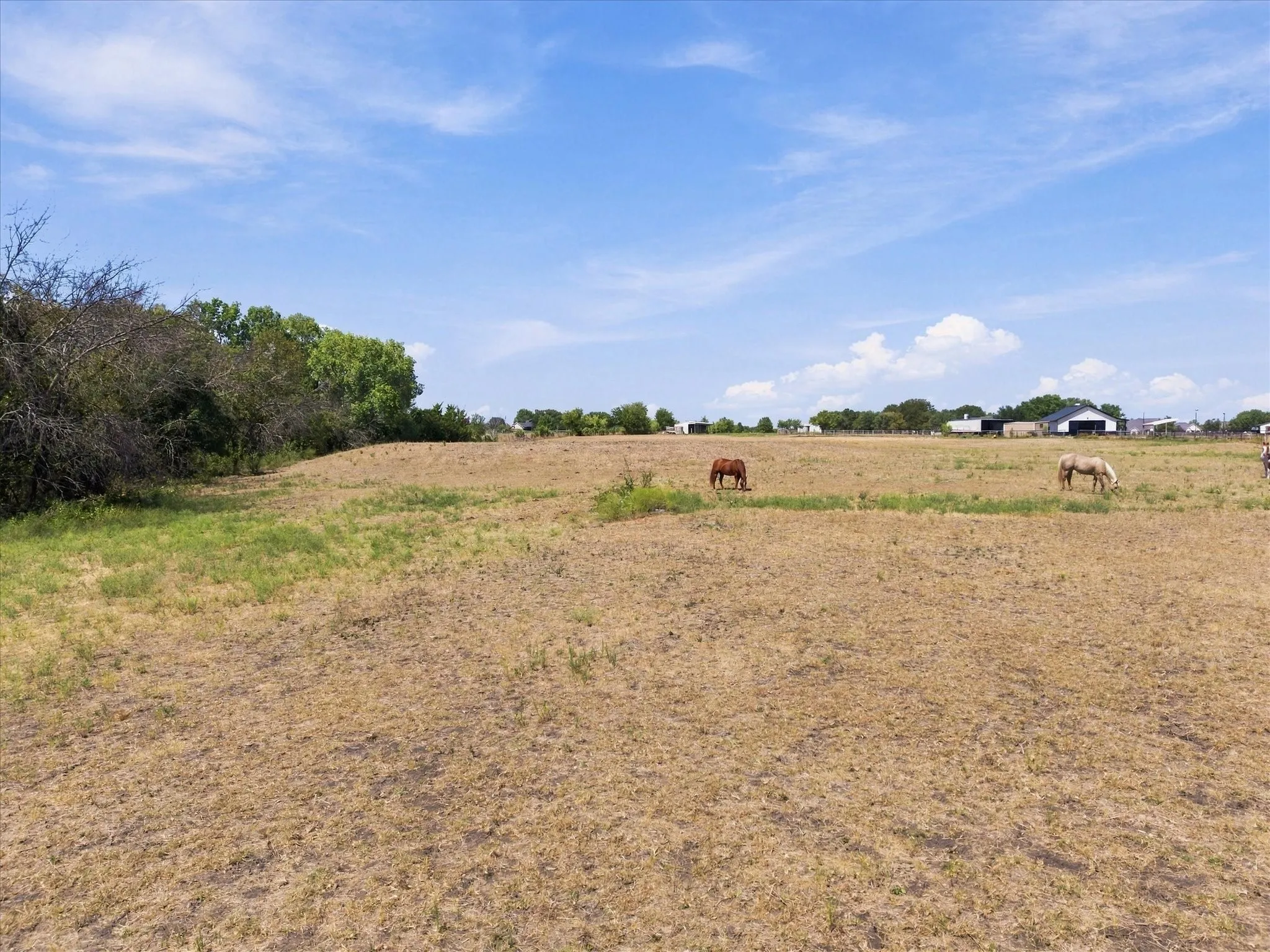 Unimproved Land For Sale in Rockwall County , 7+AC Anna Cade, Rockwall, Texas 75087, 0, 0, Garage spaces, 0 Sqft, built in 0, mls#21390139, Real Estate Agent in Rockwall, Homes For Sale in Rockwall county, Homes For Sale in Rockwall, Realtor in Rockwall Texas, Real Estate Brokerage Independent Realty Texas, Luminita Cordes Realtor