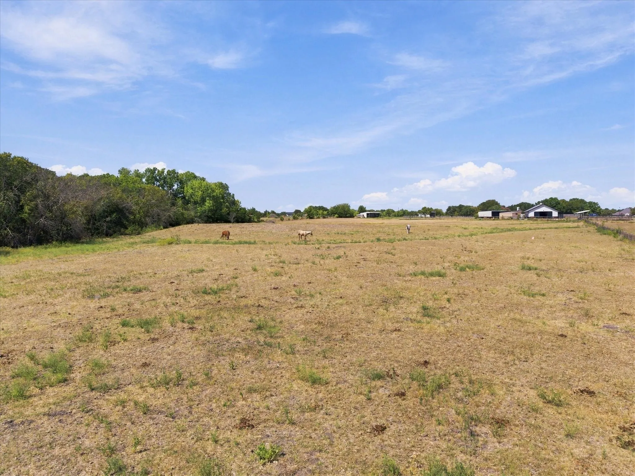 Unimproved Land For Sale in Rockwall County , 7+AC Anna Cade, Rockwall, Texas 75087, 0, 0, Garage spaces, 0 Sqft, built in 0, mls#21390139, Real Estate Agent in Rockwall, Homes For Sale in Rockwall county, Homes For Sale in Rockwall, Realtor in Rockwall Texas, Real Estate Brokerage Independent Realty Texas, Luminita Cordes Realtor