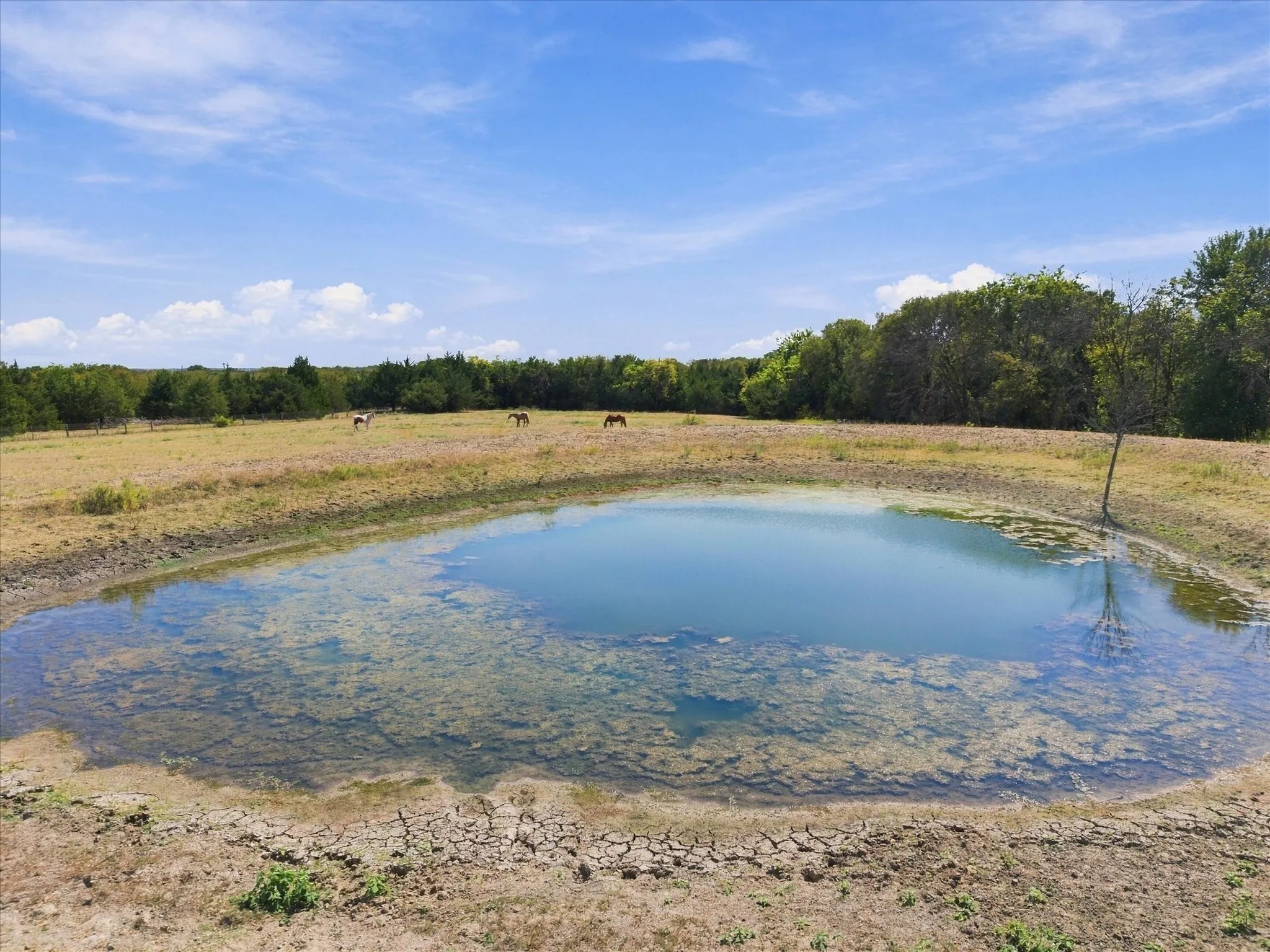 Unimproved Land For Sale in Rockwall County , 7+AC Anna Cade, Rockwall, Texas 75087, 0, 0, Garage spaces, 0 Sqft, built in 0, mls#21390139, Real Estate Agent in Rockwall, Homes For Sale in Rockwall county, Homes For Sale in Rockwall, Realtor in Rockwall Texas, Real Estate Brokerage Independent Realty Texas, Luminita Cordes Realtor