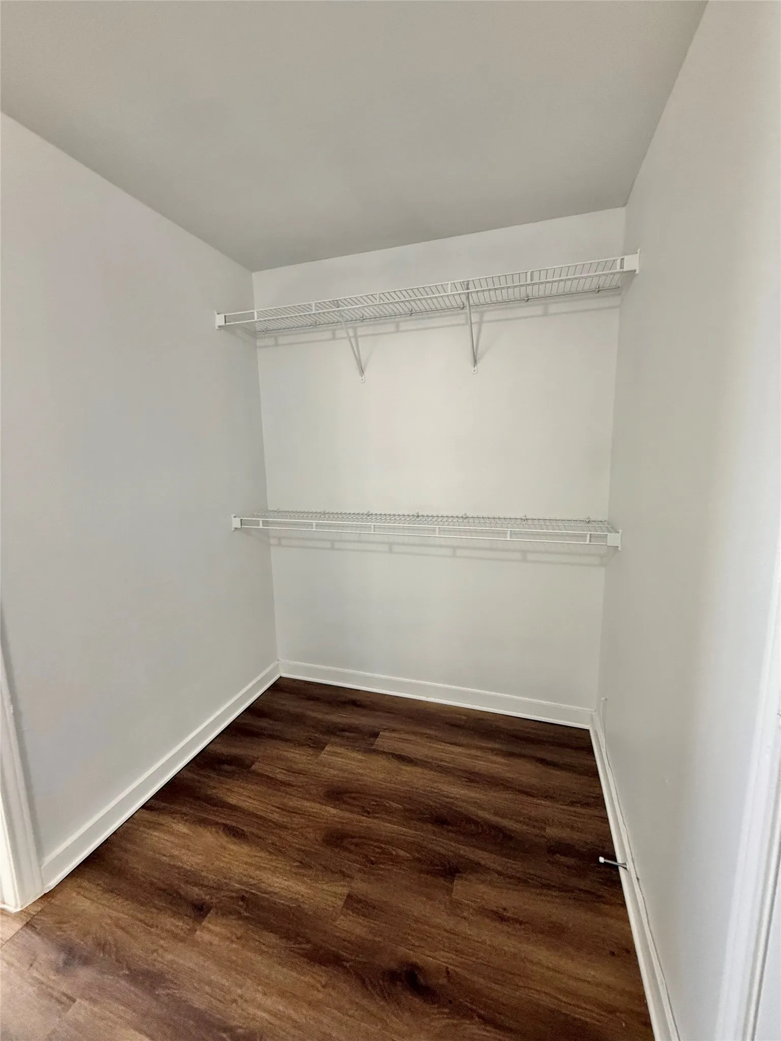 Walk in closet featuring dark wood-style flooring