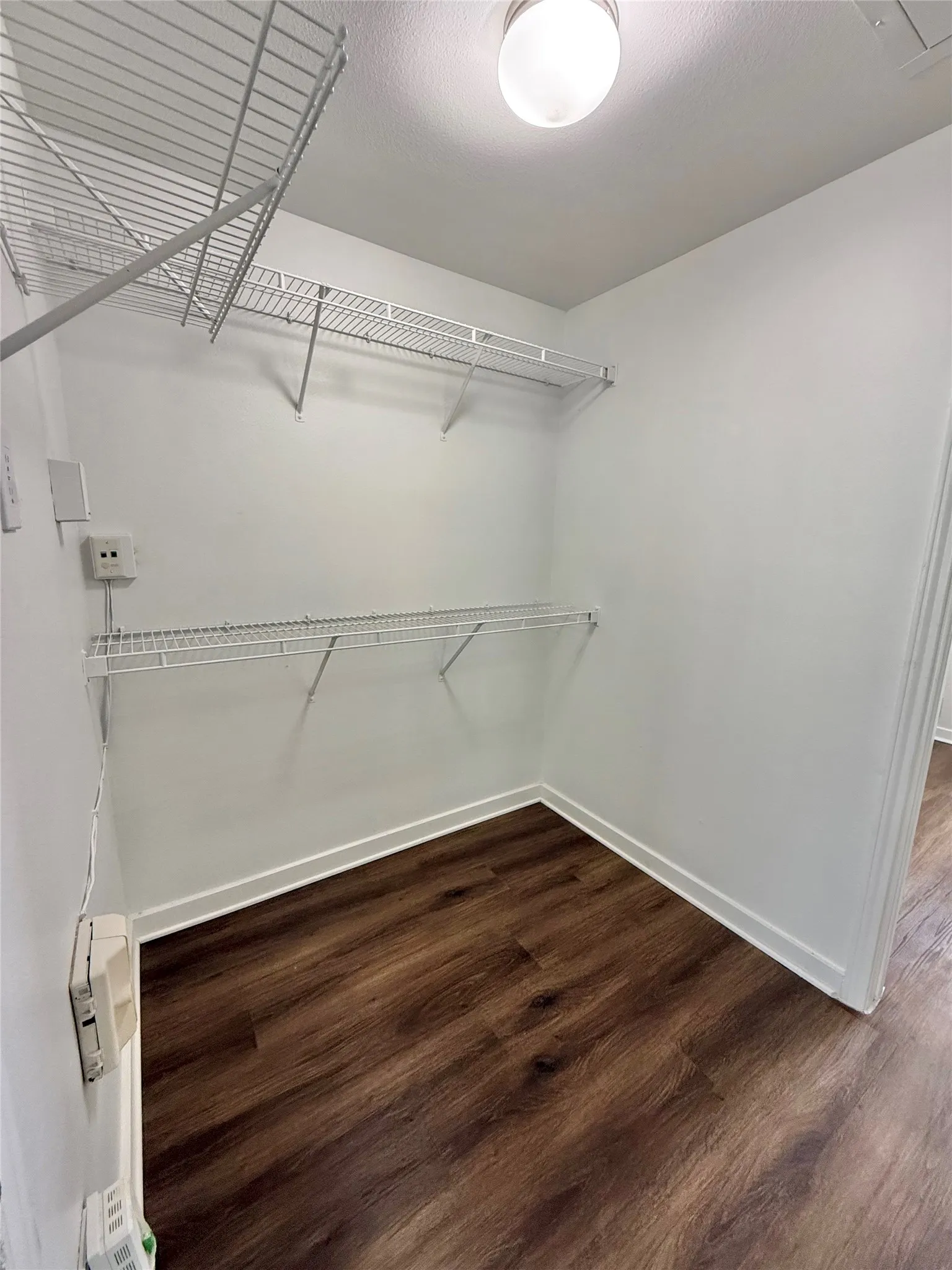 Spacious closet featuring wood finished floors