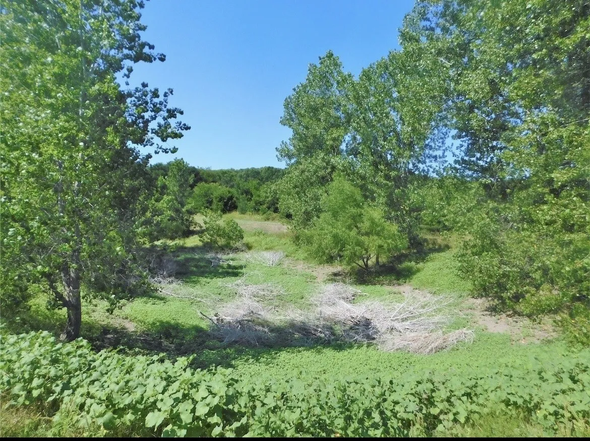 Single Family Residence For Rent in Grayson County , 7012 State Highway 56, Sherman, Texas 75090, 3 Bedroom, 2 Bathroom, 2 Garage spaces, 1,753 Sqft, built in 1960, mls#21393984, Real Estate Agent in Sherman, Homes For Rent in Grayson county, Homes For Rent in Sherman, Realtor in Sherman Texas, Real Estate Brokerage Independent Realty Texas, Luminita Cordes Realtor