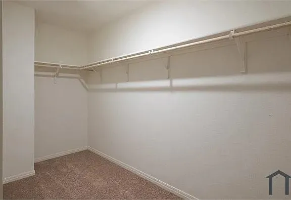 Walk-in closet featuring light-colored walls, wood-finish shelving, and carpeted flooring