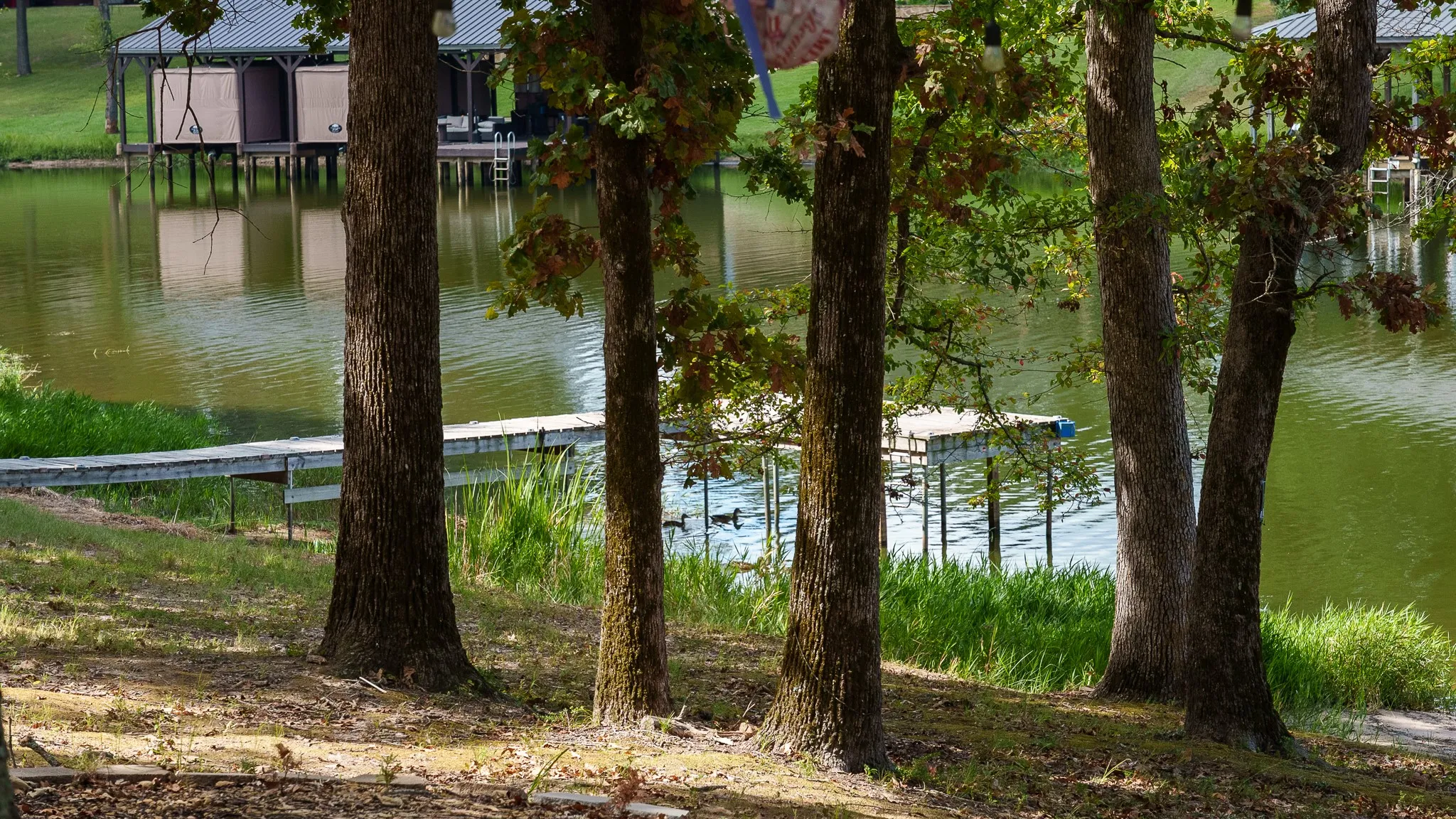 Improved Land For Sale in Smith County , 17158 CR 285, Arp, Texas 75750, 0, 0, Garage spaces, 0 Sqft, built in 0, mls#21394008, Real Estate Agent in Arp, Homes For Sale in Smith county, Homes For Sale in Arp, Realtor in Arp Texas, Real Estate Brokerage Independent Realty Texas, Luminita Cordes Realtor