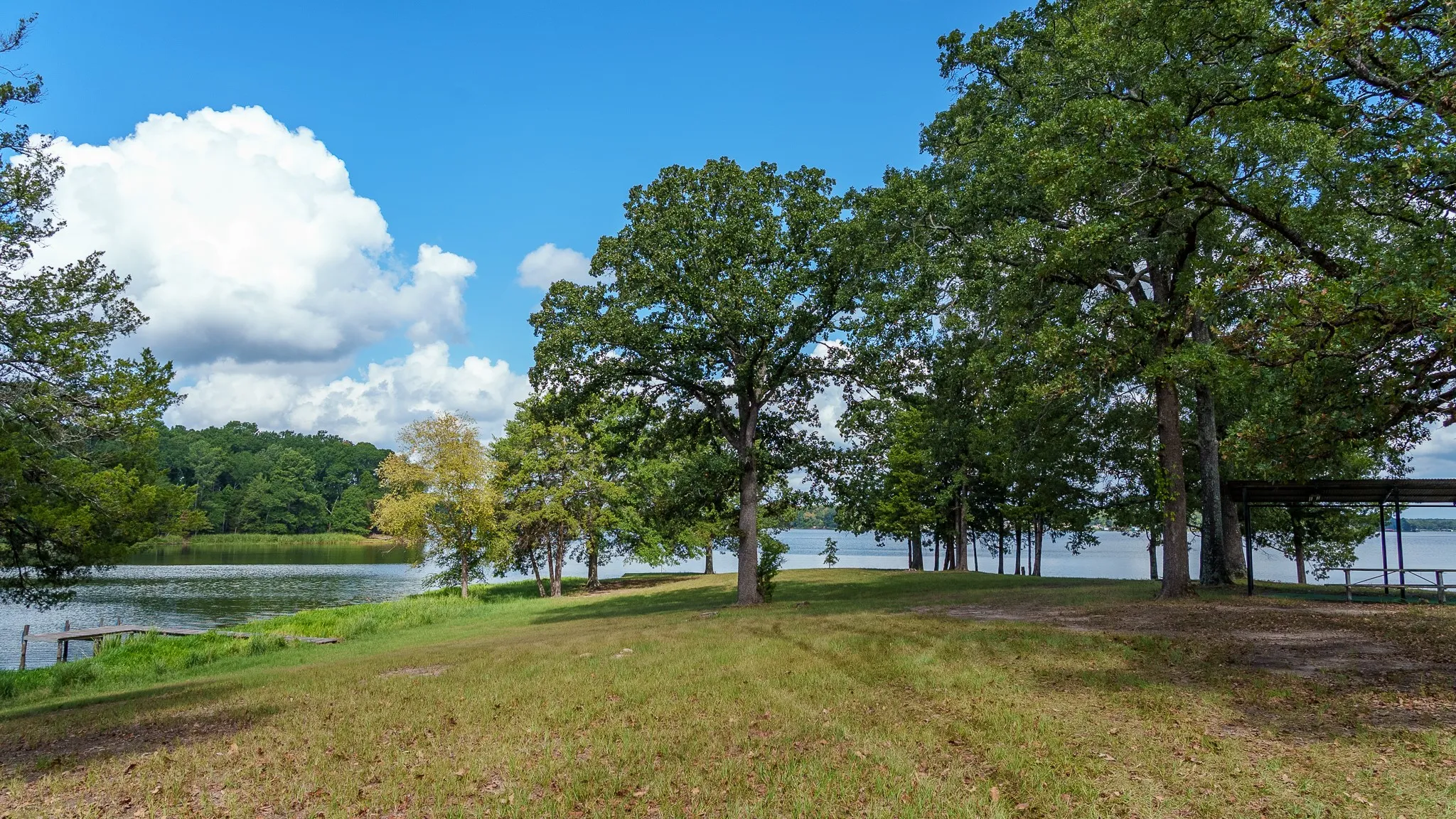 Improved Land For Sale in Smith County , 17158 CR 285, Arp, Texas 75750, 0, 0, Garage spaces, 0 Sqft, built in 0, mls#21394008, Real Estate Agent in Arp, Homes For Sale in Smith county, Homes For Sale in Arp, Realtor in Arp Texas, Real Estate Brokerage Independent Realty Texas, Luminita Cordes Realtor