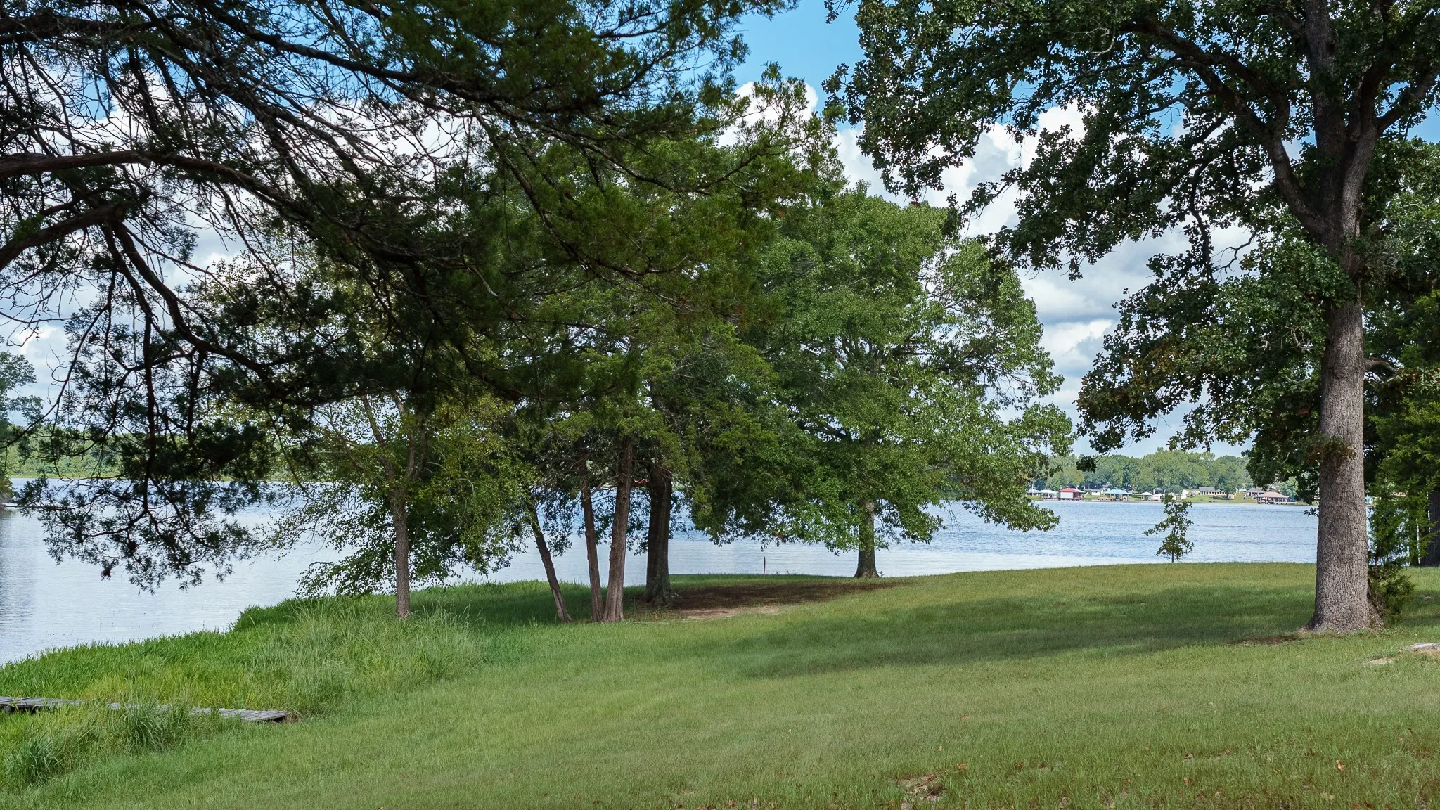 Improved Land For Sale in Smith County , 17158 CR 285, Arp, Texas 75750, 0, 0, Garage spaces, 0 Sqft, built in 0, mls#21394008, Real Estate Agent in Arp, Homes For Sale in Smith county, Homes For Sale in Arp, Realtor in Arp Texas, Real Estate Brokerage Independent Realty Texas, Luminita Cordes Realtor