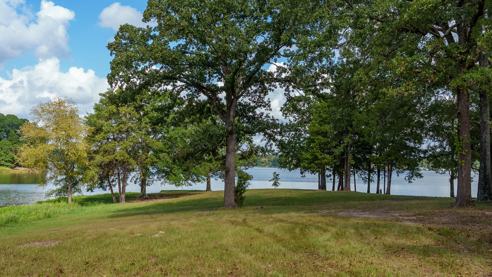 Improved Land For Sale in Smith County , 17158 CR 285, Arp, Texas 75750, 0, 0, Garage spaces, 0 Sqft, built in 0, mls#21394008, Real Estate Agent in Arp, Homes For Sale in Smith county, Homes For Sale in Arp, Realtor in Arp Texas, Real Estate Brokerage Independent Realty Texas, Luminita Cordes Realtor