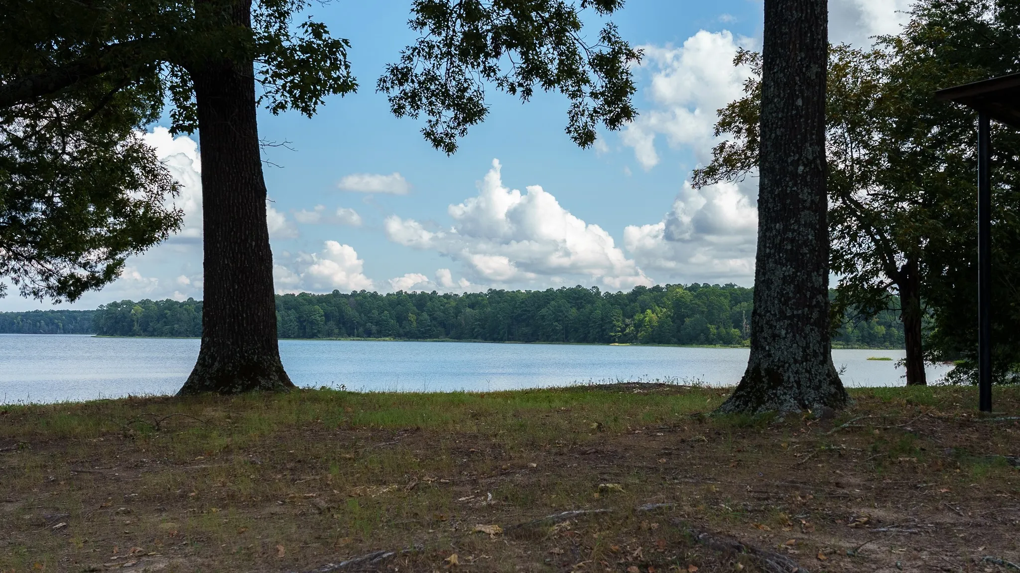 Improved Land For Sale in Smith County , 17158 CR 285, Arp, Texas 75750, 0, 0, Garage spaces, 0 Sqft, built in 0, mls#21394008, Real Estate Agent in Arp, Homes For Sale in Smith county, Homes For Sale in Arp, Realtor in Arp Texas, Real Estate Brokerage Independent Realty Texas, Luminita Cordes Realtor