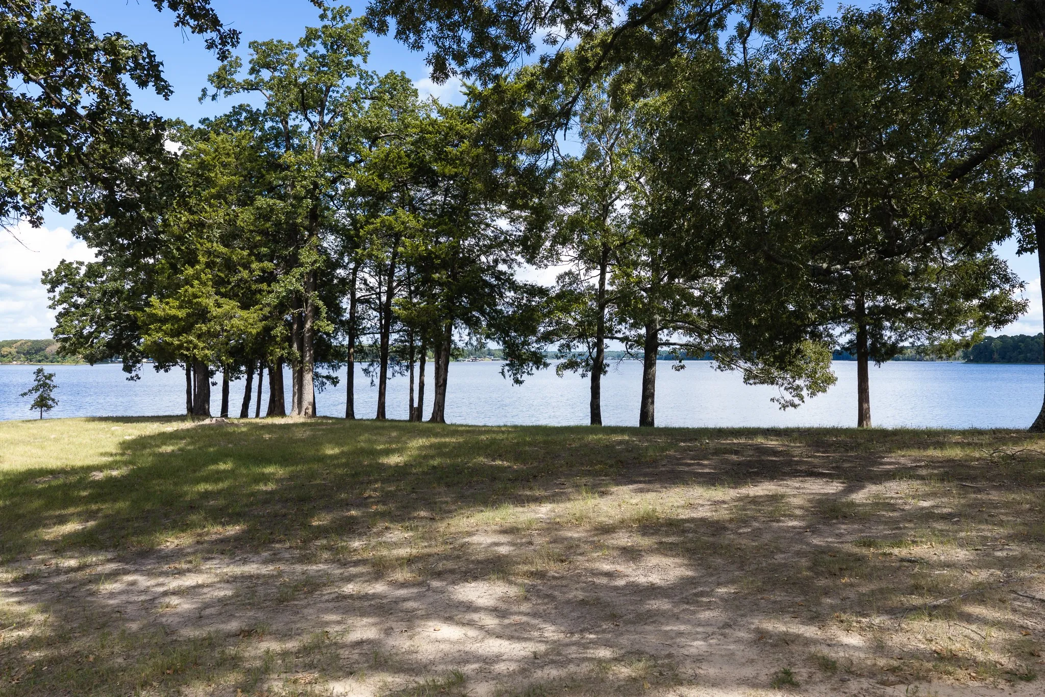 Improved Land For Sale in Smith County , 17158 CR 285, Arp, Texas 75750, 0, 0, Garage spaces, 0 Sqft, built in 0, mls#21394008, Real Estate Agent in Arp, Homes For Sale in Smith county, Homes For Sale in Arp, Realtor in Arp Texas, Real Estate Brokerage Independent Realty Texas, Luminita Cordes Realtor