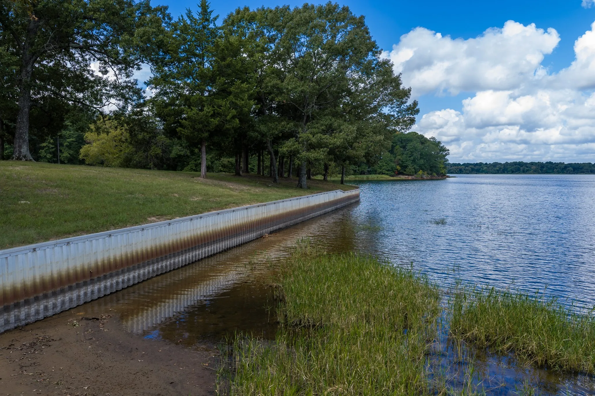 Improved Land For Sale in Smith County , 17158 CR 285, Arp, Texas 75750, 0, 0, Garage spaces, 0 Sqft, built in 0, mls#21394008, Real Estate Agent in Arp, Homes For Sale in Smith county, Homes For Sale in Arp, Realtor in Arp Texas, Real Estate Brokerage Independent Realty Texas, Luminita Cordes Realtor