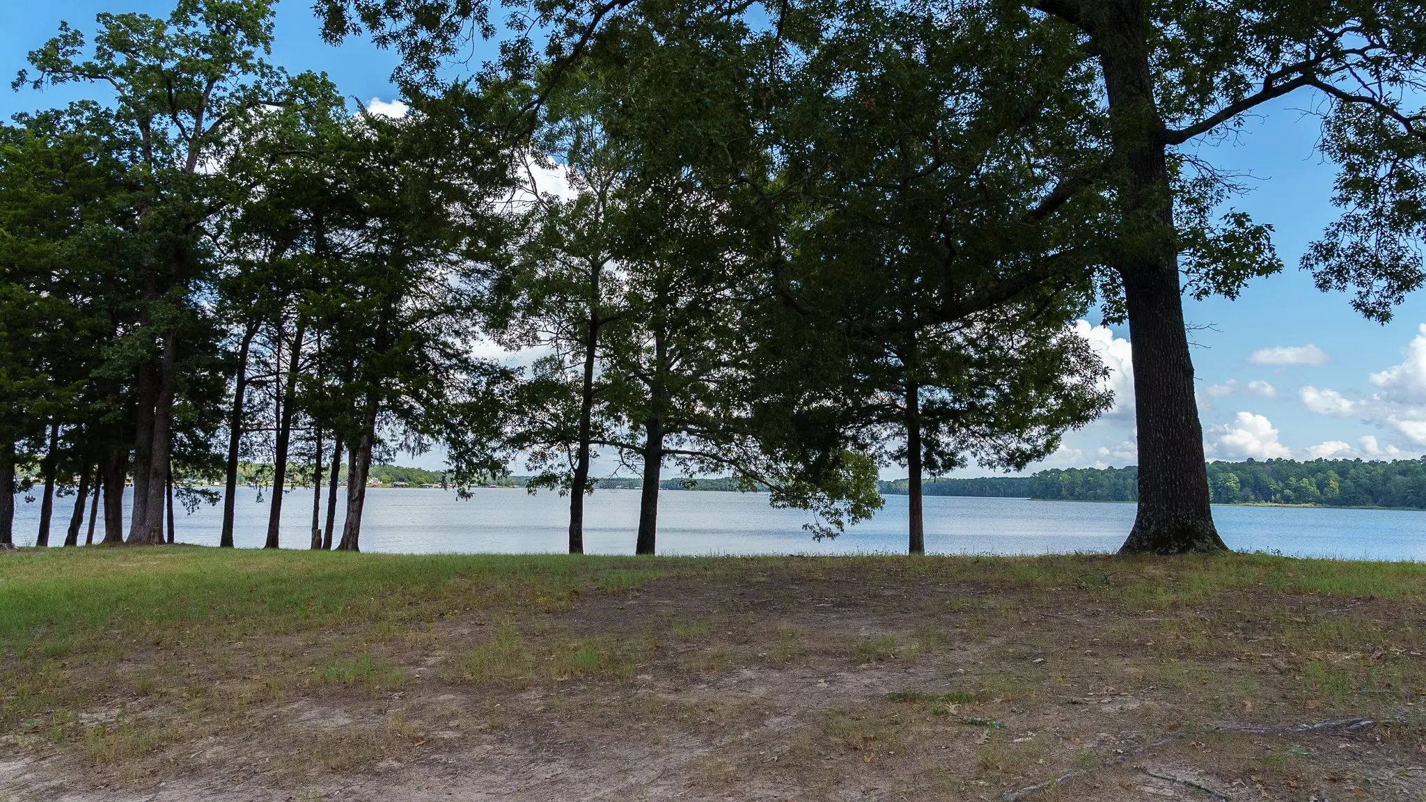 Improved Land For Sale in Smith County , 17158 CR 285, Arp, Texas 75750, 0, 0, Garage spaces, 0 Sqft, built in 0, mls#21394008, Real Estate Agent in Arp, Homes For Sale in Smith county, Homes For Sale in Arp, Realtor in Arp Texas, Real Estate Brokerage Independent Realty Texas, Luminita Cordes Realtor