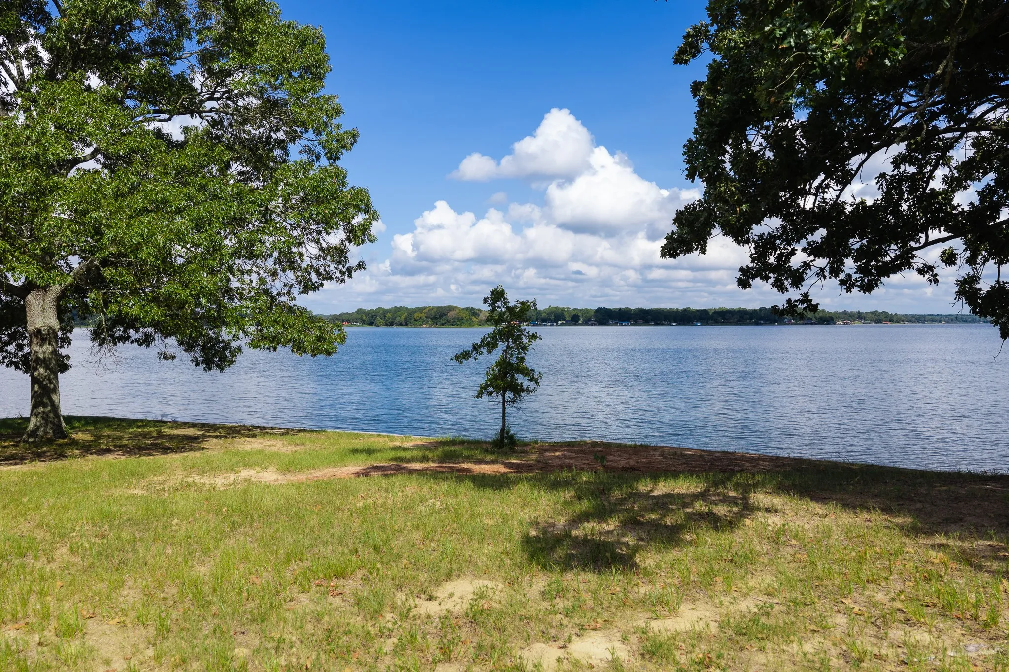 Improved Land For Sale in Smith County , 17158 CR 285, Arp, Texas 75750, 0, 0, Garage spaces, 0 Sqft, built in 0, mls#21394008, Real Estate Agent in Arp, Homes For Sale in Smith county, Homes For Sale in Arp, Realtor in Arp Texas, Real Estate Brokerage Independent Realty Texas, Luminita Cordes Realtor