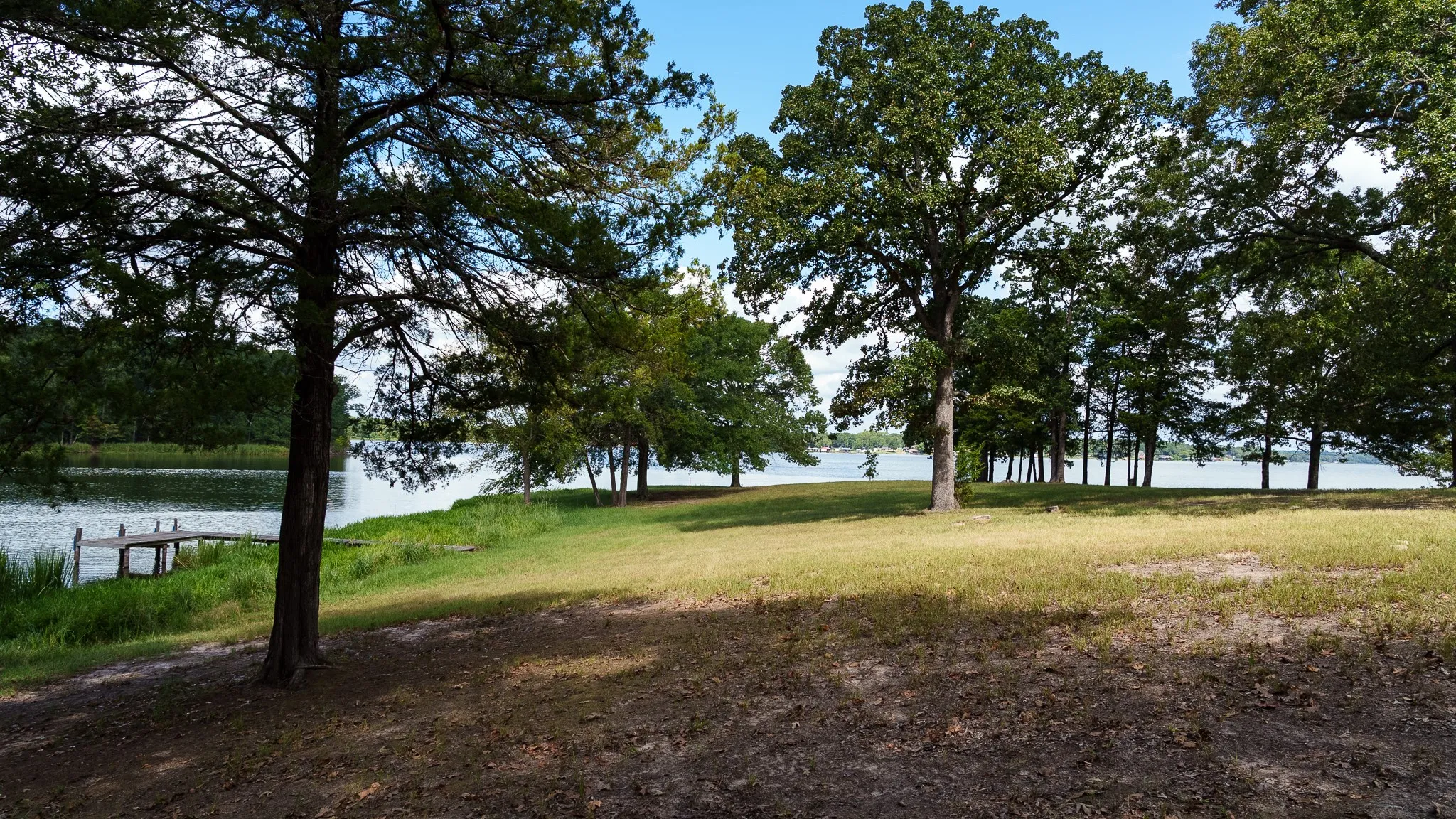 Improved Land For Sale in Smith County , 17158 CR 285, Arp, Texas 75750, 0, 0, Garage spaces, 0 Sqft, built in 0, mls#21394008, Real Estate Agent in Arp, Homes For Sale in Smith county, Homes For Sale in Arp, Realtor in Arp Texas, Real Estate Brokerage Independent Realty Texas, Luminita Cordes Realtor