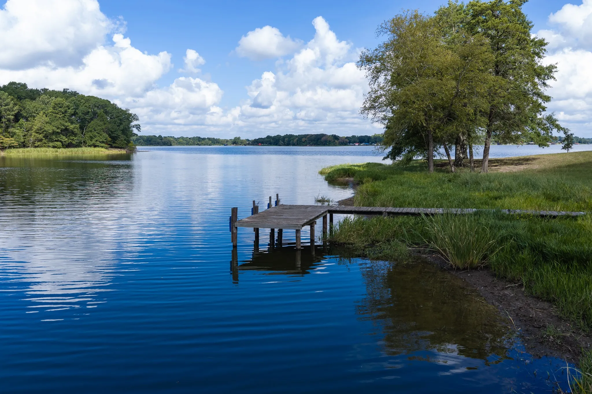 Improved Land For Sale in Smith County , 17158 CR 285, Arp, Texas 75750, 0, 0, Garage spaces, 0 Sqft, built in 0, mls#21394008, Real Estate Agent in Arp, Homes For Sale in Smith county, Homes For Sale in Arp, Realtor in Arp Texas, Real Estate Brokerage Independent Realty Texas, Luminita Cordes Realtor