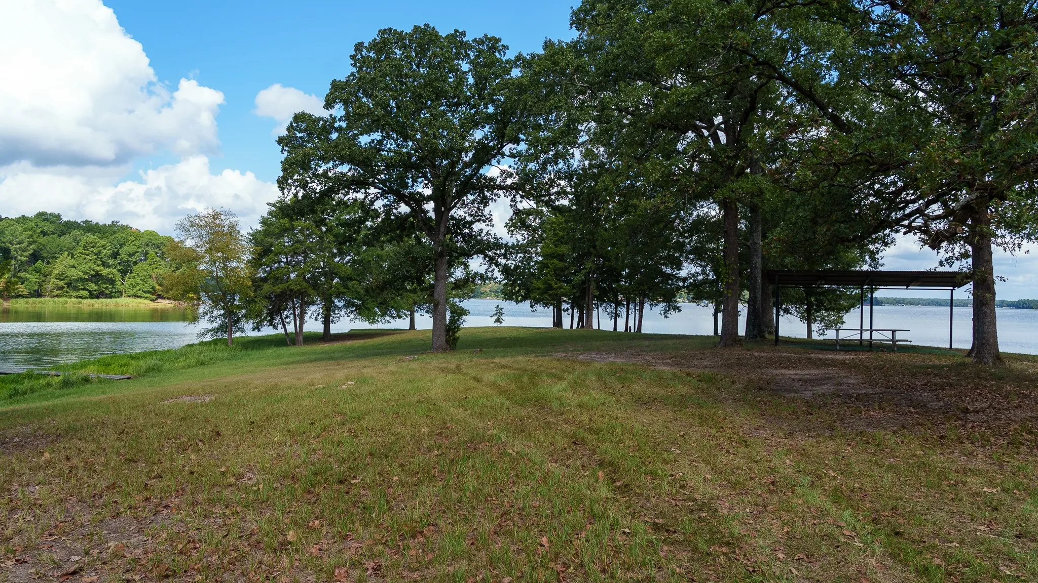 Improved Land For Sale in Smith County , 17158 CR 285, Arp, Texas 75750, 0, 0, Garage spaces, 0 Sqft, built in 0, mls#21394008, Real Estate Agent in Arp, Homes For Sale in Smith county, Homes For Sale in Arp, Realtor in Arp Texas, Real Estate Brokerage Independent Realty Texas, Luminita Cordes Realtor