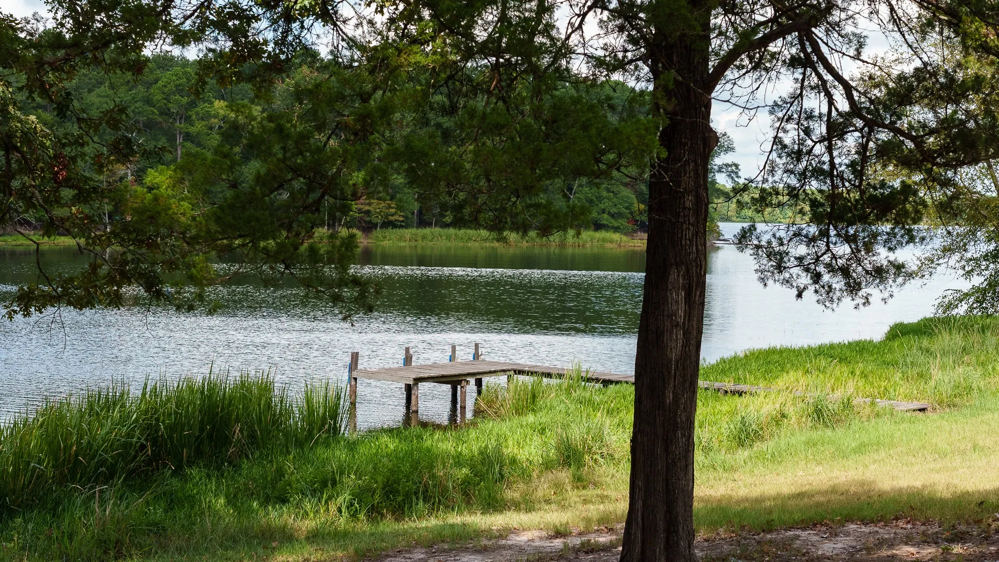 Improved Land For Sale in Smith County , 17158 CR 285, Arp, Texas 75750, 0, 0, Garage spaces, 0 Sqft, built in 0, mls#21394008, Real Estate Agent in Arp, Homes For Sale in Smith county, Homes For Sale in Arp, Realtor in Arp Texas, Real Estate Brokerage Independent Realty Texas, Luminita Cordes Realtor