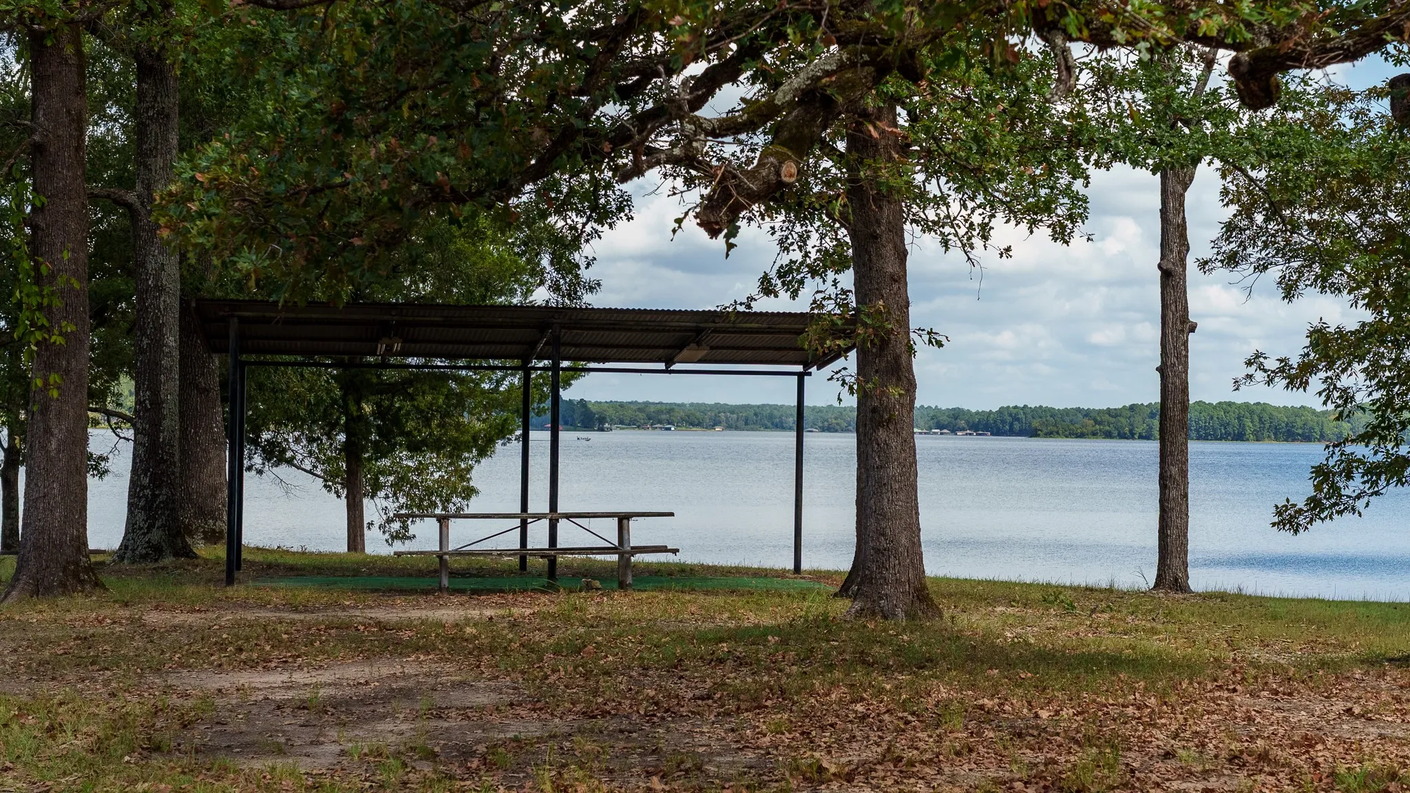 Improved Land For Sale in Smith County , 17158 CR 285, Arp, Texas 75750, 0, 0, Garage spaces, 0 Sqft, built in 0, mls#21394008, Real Estate Agent in Arp, Homes For Sale in Smith county, Homes For Sale in Arp, Realtor in Arp Texas, Real Estate Brokerage Independent Realty Texas, Luminita Cordes Realtor