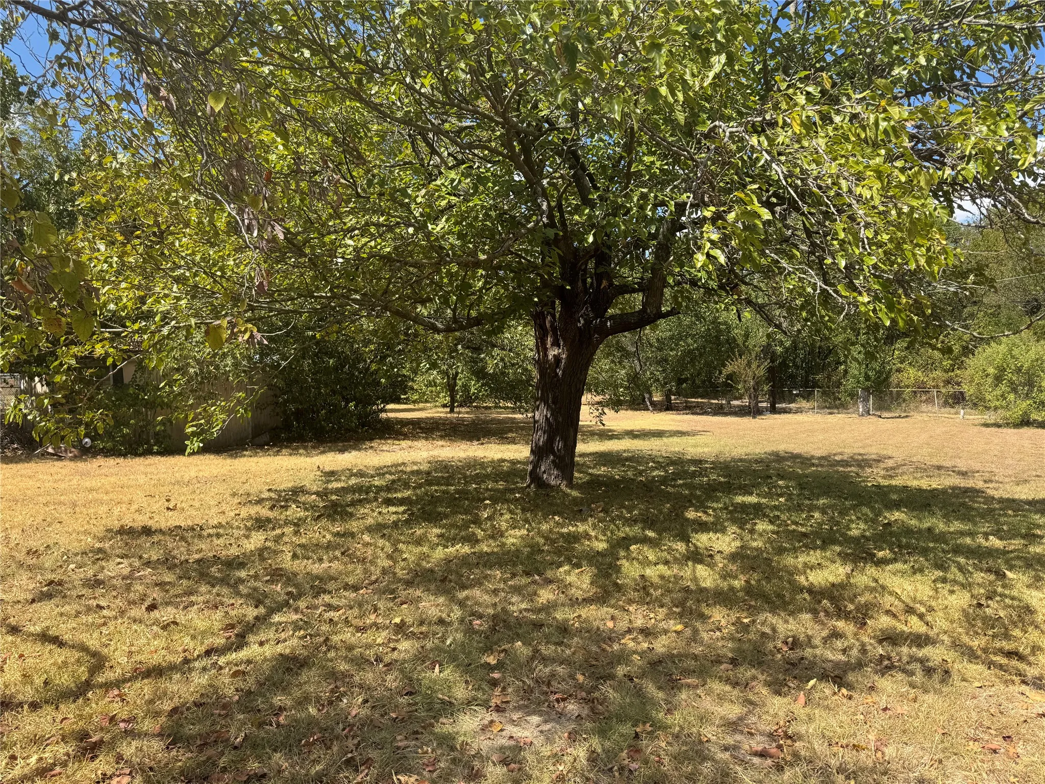 Expansive lot featuring mature trees, natural foliage, and open grassy areas