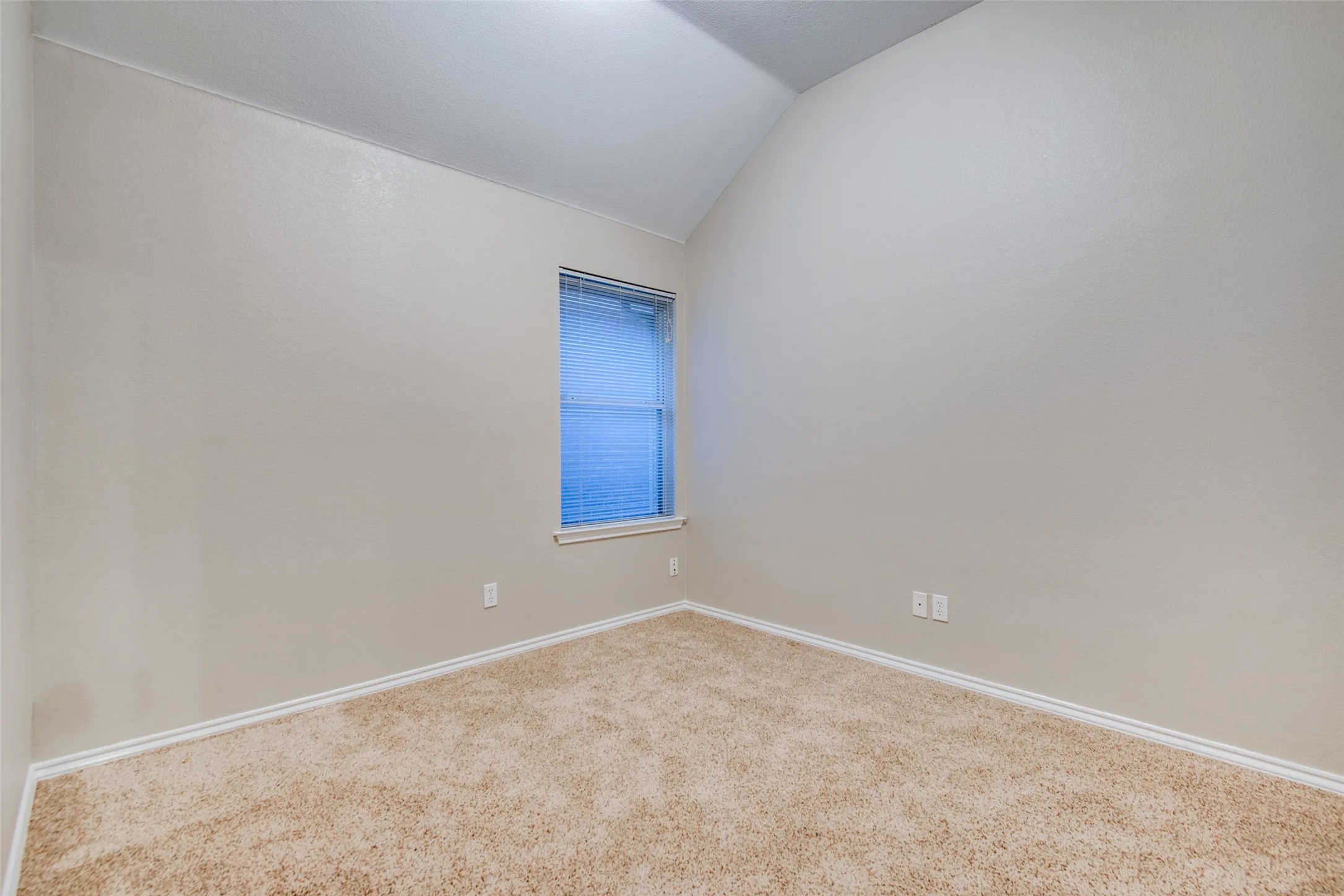 Carpeted flooring with painted walls, a vaulted ceiling, and a single window