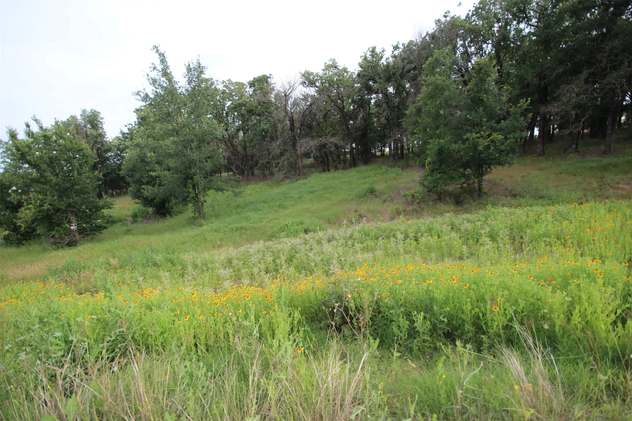 Unimproved Land For Sale in Parker County , 174 Hansma Way, Weatherford, Texas 76087, 0, 0, Garage spaces, 0 Sqft, built in 0, mls#21394017, Real Estate Agent in Weatherford, Homes For Sale in Parker county, Homes For Sale in Weatherford, Realtor in Weatherford Texas, Real Estate Brokerage Independent Realty Texas, Luminita Cordes Realtor