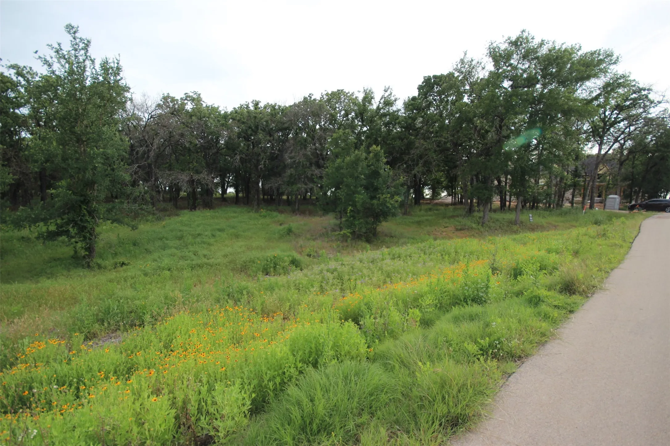 Unimproved Land For Sale in Parker County , 174 Hansma Way, Weatherford, Texas 76087, 0, 0, Garage spaces, 0 Sqft, built in 0, mls#21394017, Real Estate Agent in Weatherford, Homes For Sale in Parker county, Homes For Sale in Weatherford, Realtor in Weatherford Texas, Real Estate Brokerage Independent Realty Texas, Luminita Cordes Realtor