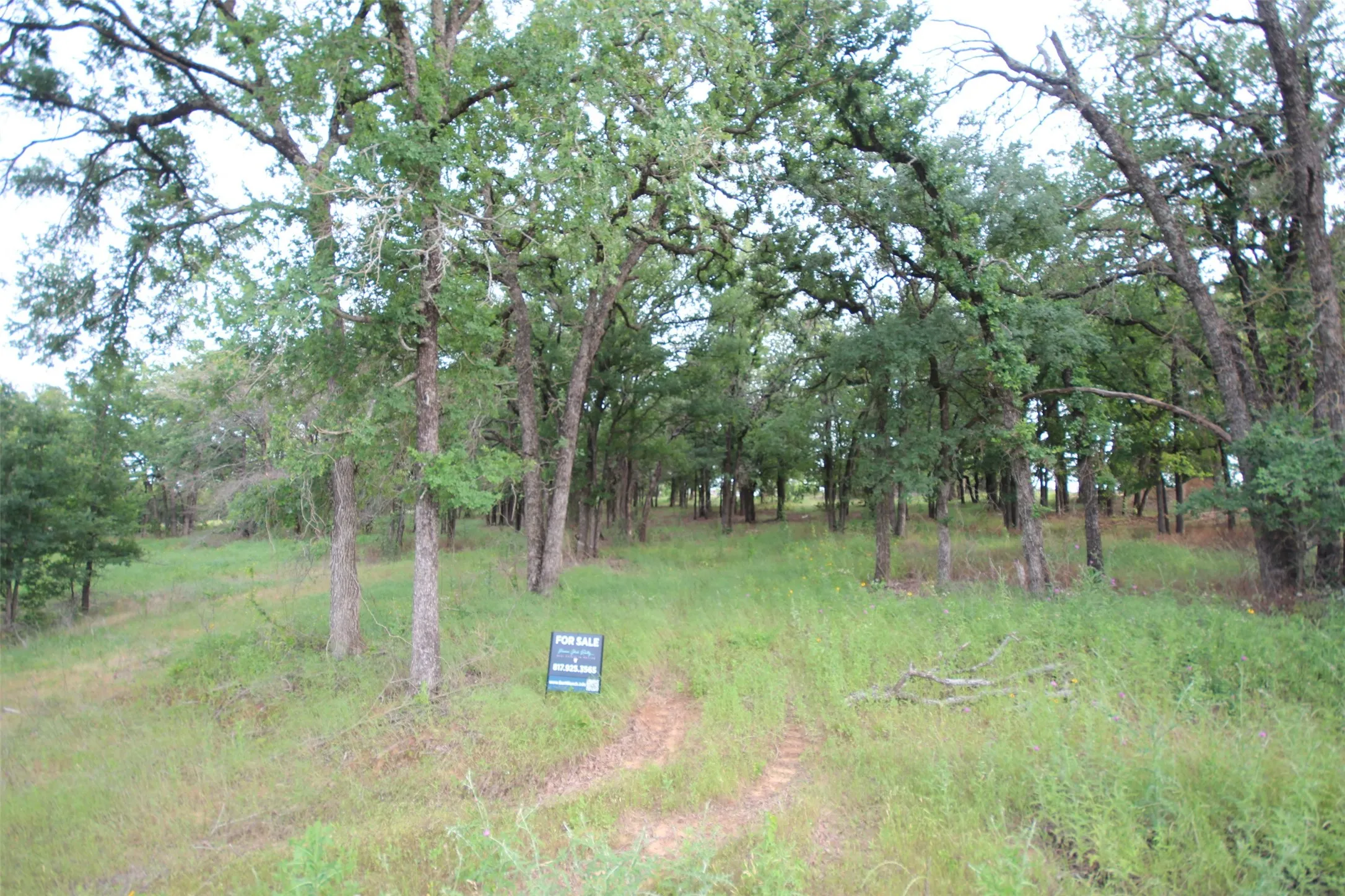 Unimproved Land For Sale in Parker County , 174 Hansma Way, Weatherford, Texas 76087, 0, 0, Garage spaces, 0 Sqft, built in 0, mls#21394017, Real Estate Agent in Weatherford, Homes For Sale in Parker county, Homes For Sale in Weatherford, Realtor in Weatherford Texas, Real Estate Brokerage Independent Realty Texas, Luminita Cordes Realtor