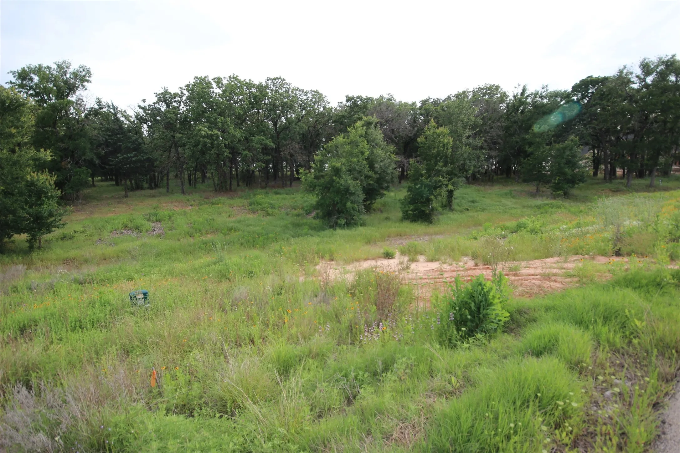 Unimproved Land For Sale in Parker County , 174 Hansma Way, Weatherford, Texas 76087, 0, 0, Garage spaces, 0 Sqft, built in 0, mls#21394017, Real Estate Agent in Weatherford, Homes For Sale in Parker county, Homes For Sale in Weatherford, Realtor in Weatherford Texas, Real Estate Brokerage Independent Realty Texas, Luminita Cordes Realtor