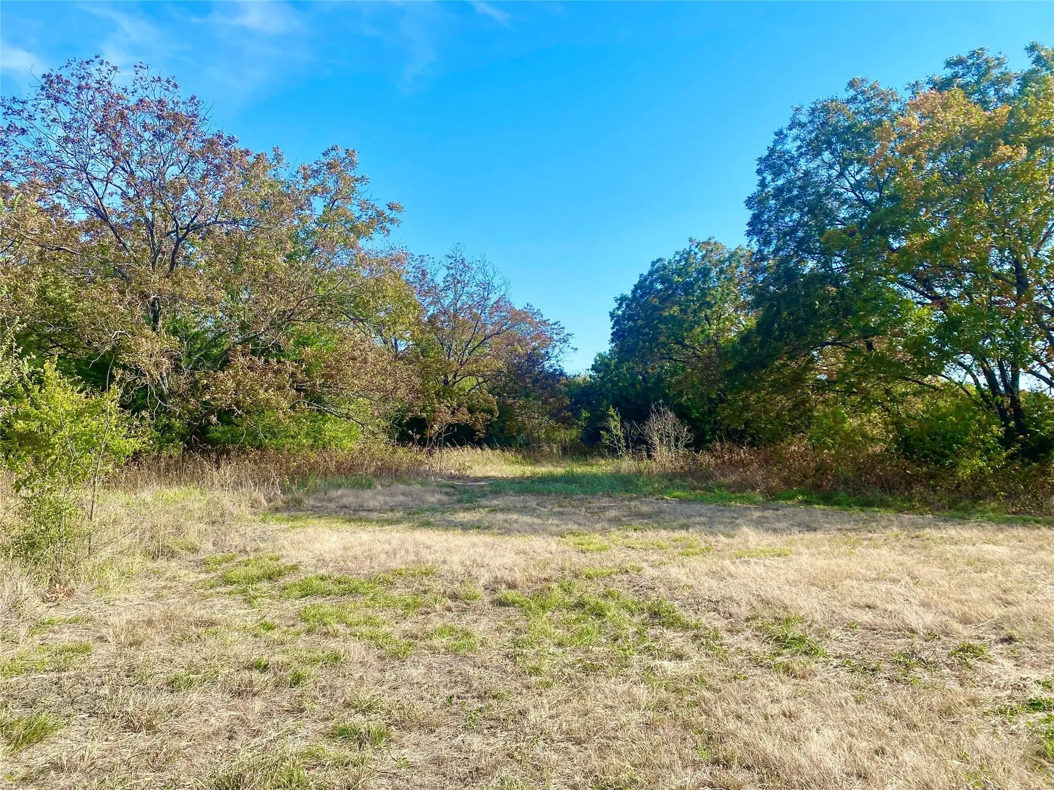 Unimproved Land For Sale in Fannin County , 1083 COUNTY ROAD 3720, Wolfe City, Texas 75452, 0, 0, Garage spaces, 0 Sqft, built in 0, mls#21389431, Real Estate Agent in Wolfe City, Homes For Sale in Fannin county, Homes For Sale in Wolfe City, Realtor in Wolfe City Texas, Real Estate Brokerage Independent Realty Texas, Luminita Cordes Realtor