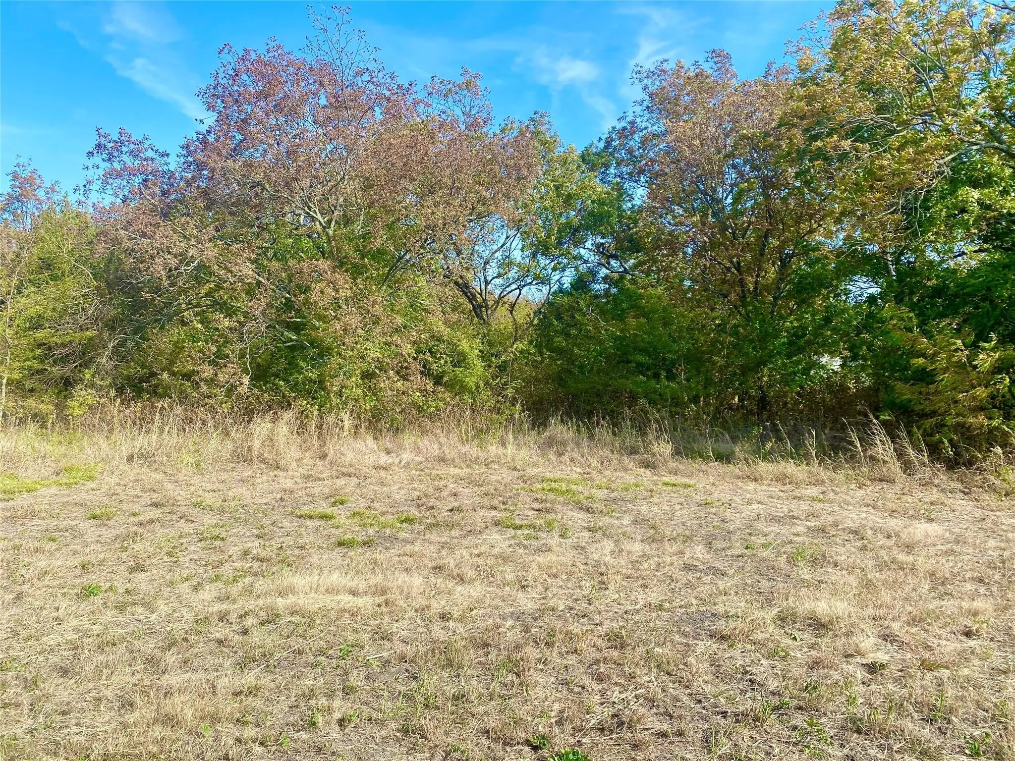 Unimproved Land For Sale in Fannin County , 1083 COUNTY ROAD 3720, Wolfe City, Texas 75452, 0, 0, Garage spaces, 0 Sqft, built in 0, mls#21389431, Real Estate Agent in Wolfe City, Homes For Sale in Fannin county, Homes For Sale in Wolfe City, Realtor in Wolfe City Texas, Real Estate Brokerage Independent Realty Texas, Luminita Cordes Realtor