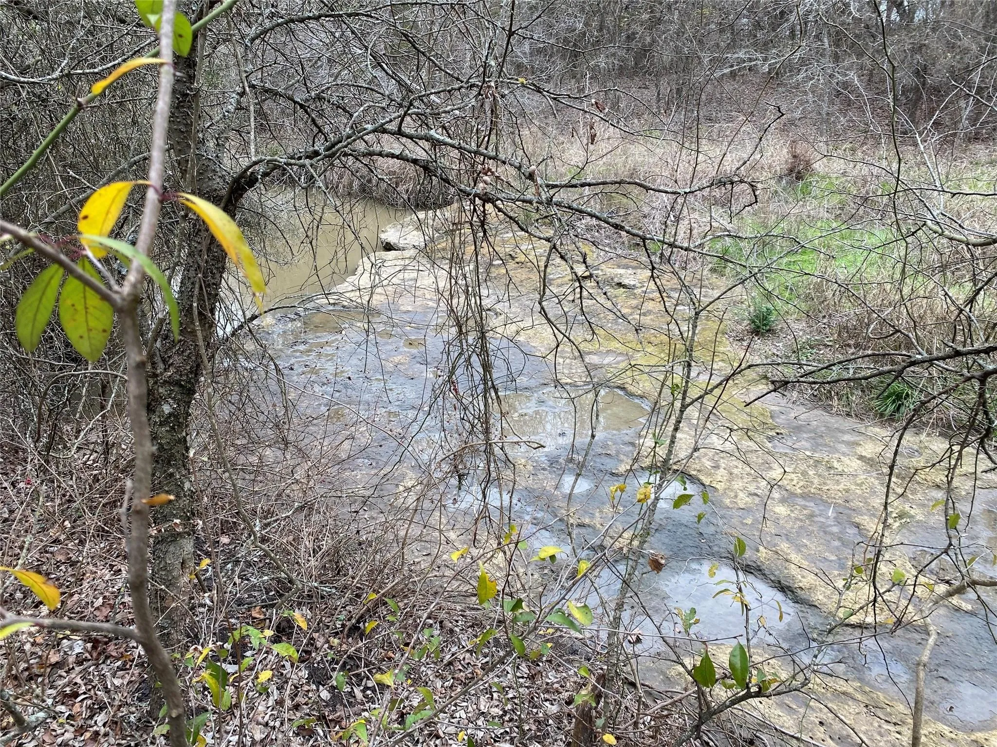 Creek