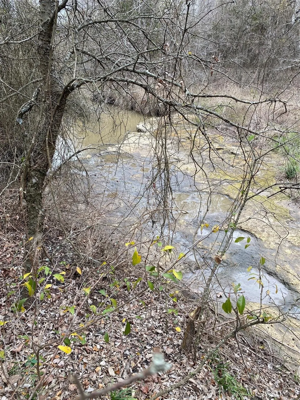 Creek