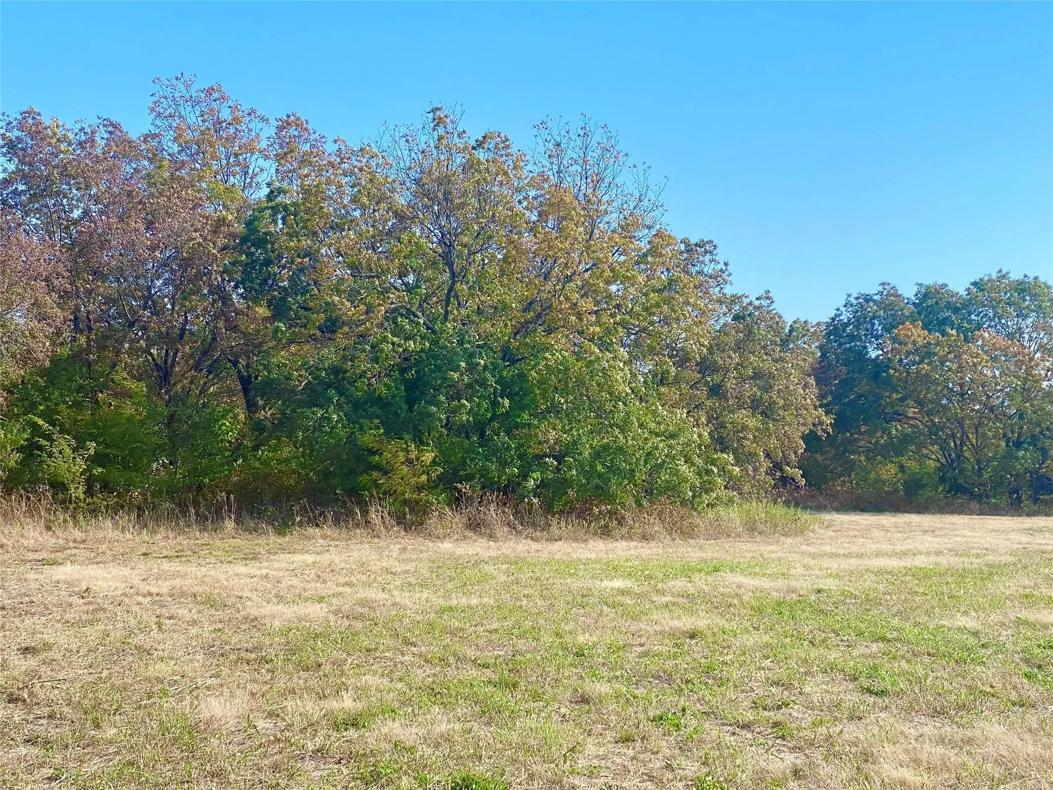 Unimproved Land For Sale in Fannin County , 1083 COUNTY ROAD 3720, Wolfe City, Texas 75452, 0, 0, Garage spaces, 0 Sqft, built in 0, mls#21389431, Real Estate Agent in Wolfe City, Homes For Sale in Fannin county, Homes For Sale in Wolfe City, Realtor in Wolfe City Texas, Real Estate Brokerage Independent Realty Texas, Luminita Cordes Realtor
