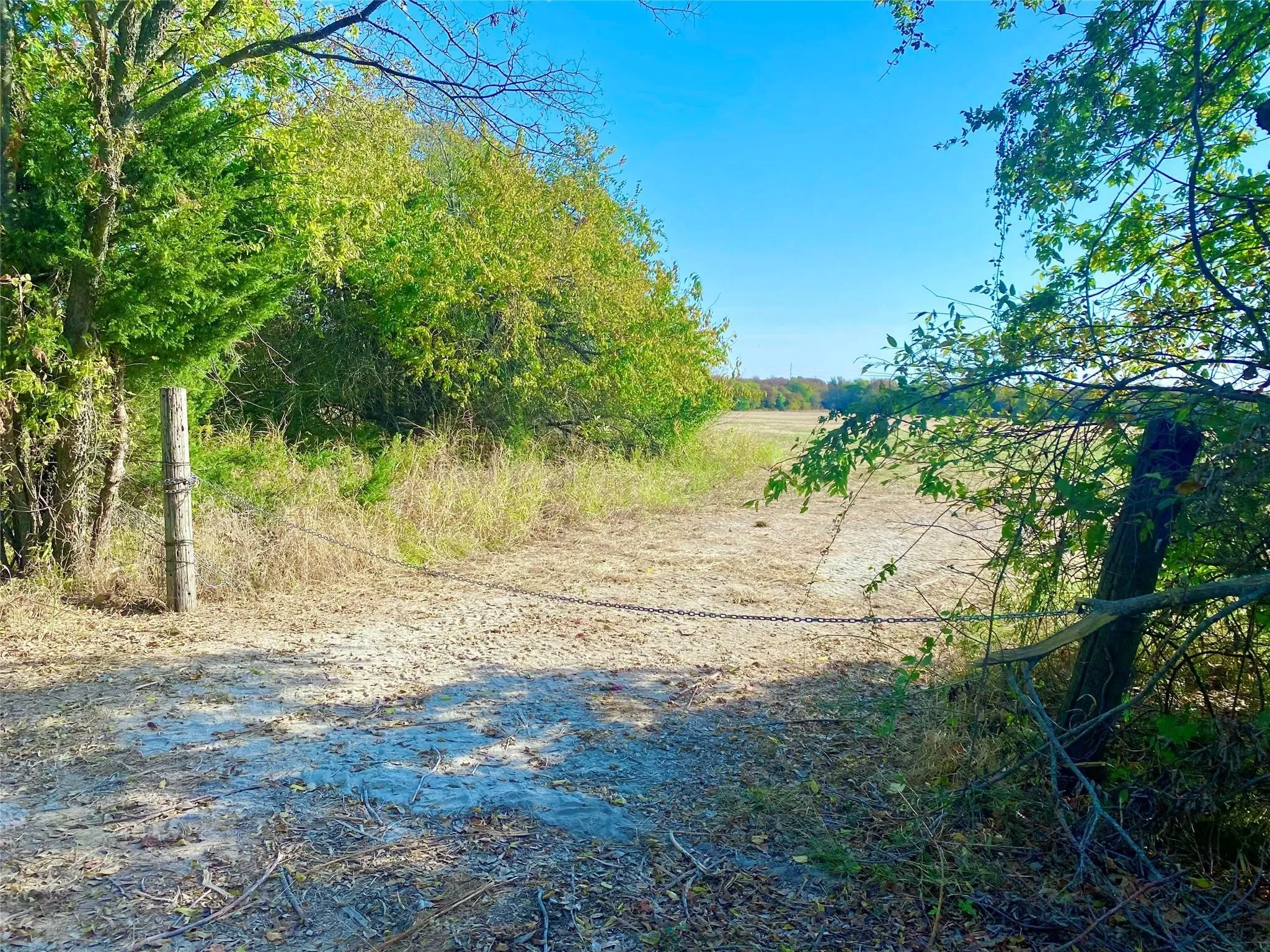 Unimproved Land For Sale in Fannin County , 1083 COUNTY ROAD 3720, Wolfe City, Texas 75452, 0, 0, Garage spaces, 0 Sqft, built in 0, mls#21389431, Real Estate Agent in Wolfe City, Homes For Sale in Fannin county, Homes For Sale in Wolfe City, Realtor in Wolfe City Texas, Real Estate Brokerage Independent Realty Texas, Luminita Cordes Realtor