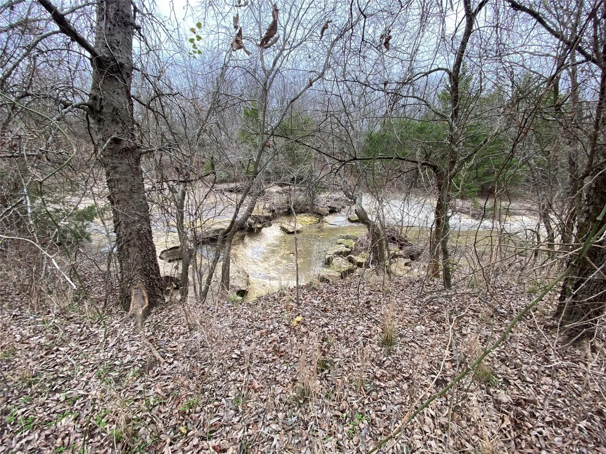 Creek
