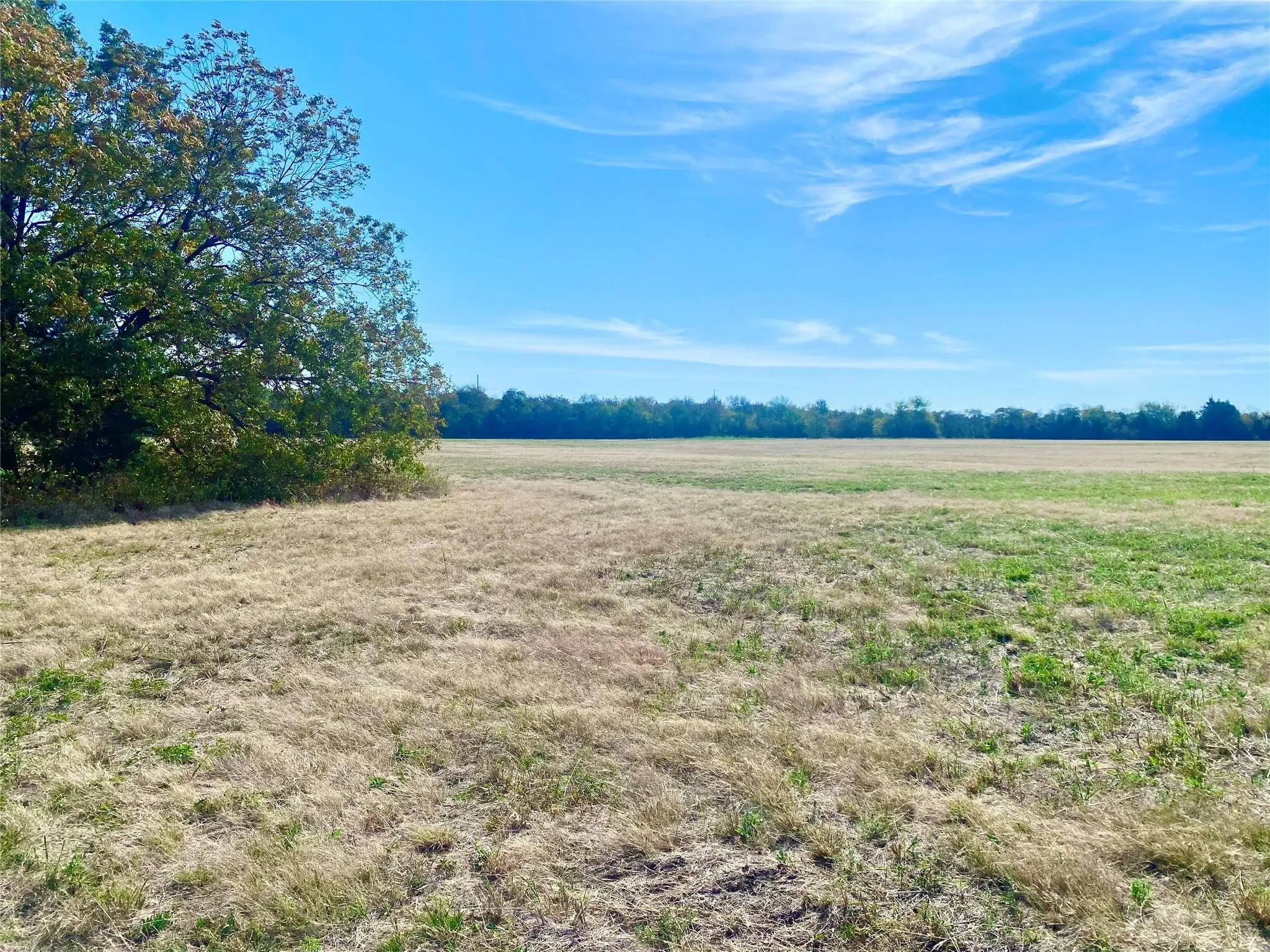 Unimproved Land For Sale in Fannin County , 1083 COUNTY ROAD 3720, Wolfe City, Texas 75452, 0, 0, Garage spaces, 0 Sqft, built in 0, mls#21389431, Real Estate Agent in Wolfe City, Homes For Sale in Fannin county, Homes For Sale in Wolfe City, Realtor in Wolfe City Texas, Real Estate Brokerage Independent Realty Texas, Luminita Cordes Realtor