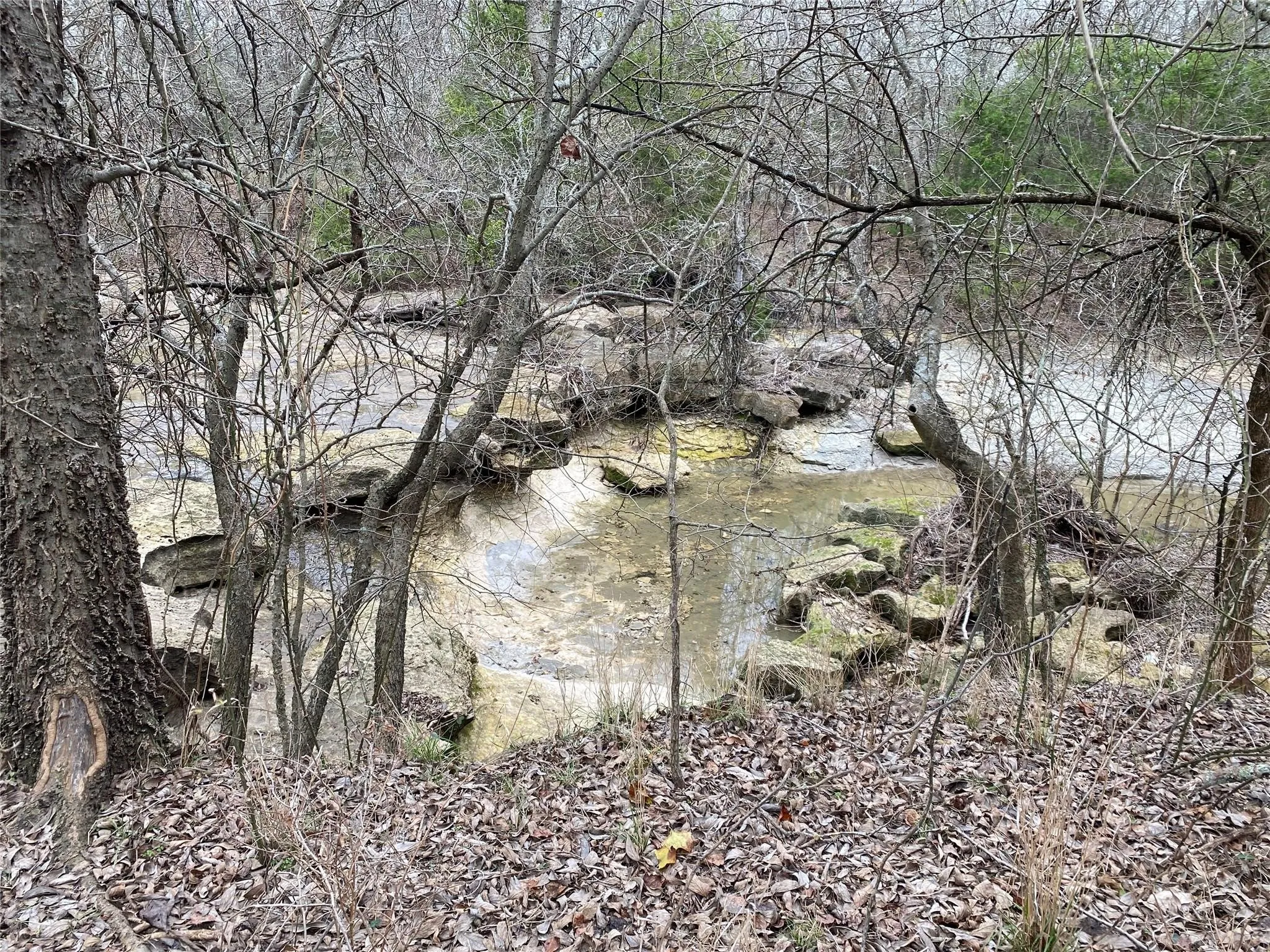 Creek