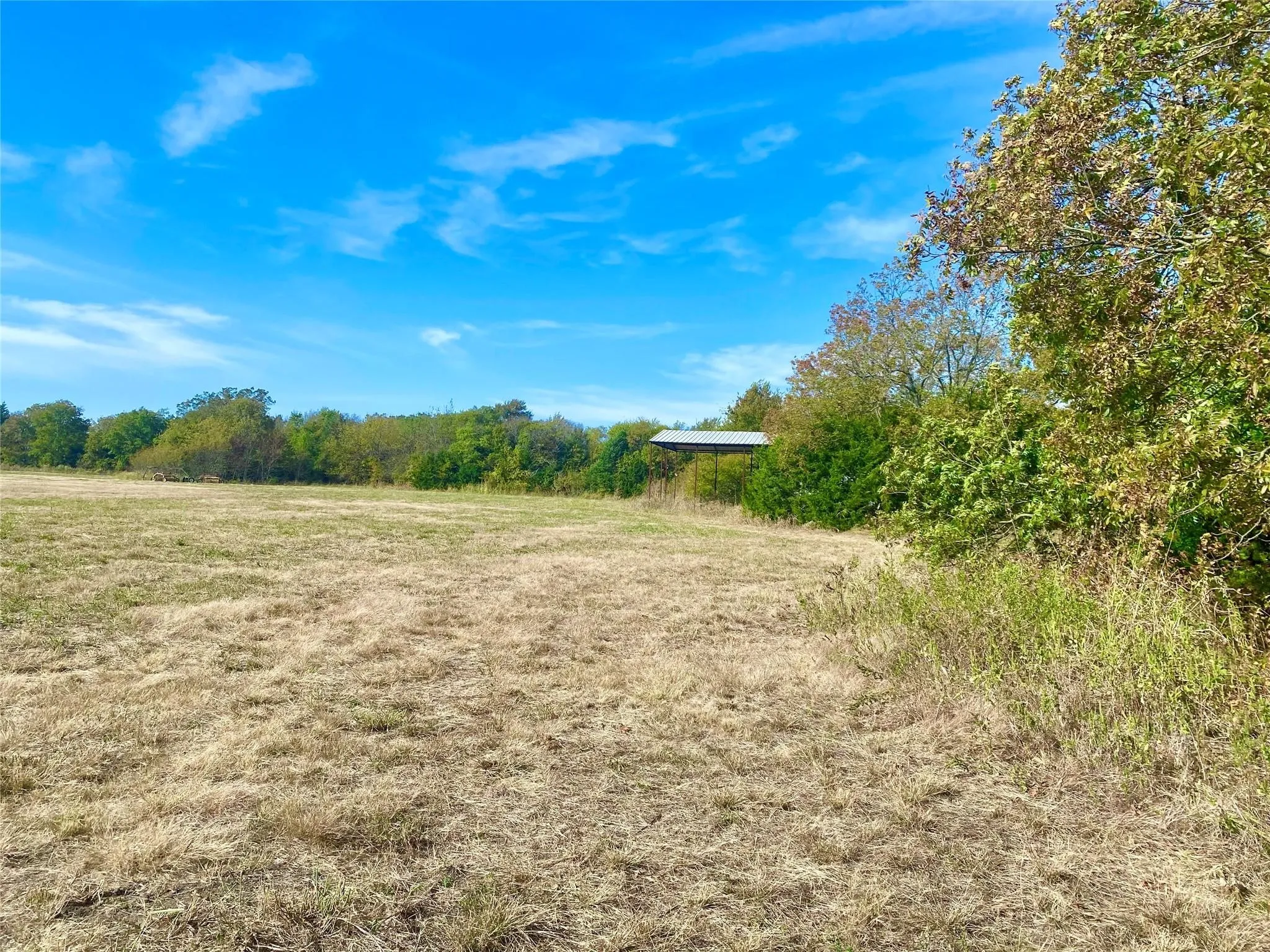 Unimproved Land For Sale in Fannin County , 1083 COUNTY ROAD 3720, Wolfe City, Texas 75452, 0, 0, Garage spaces, 0 Sqft, built in 0, mls#21389431, Real Estate Agent in Wolfe City, Homes For Sale in Fannin county, Homes For Sale in Wolfe City, Realtor in Wolfe City Texas, Real Estate Brokerage Independent Realty Texas, Luminita Cordes Realtor