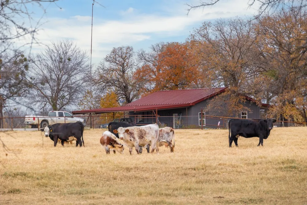 Improved Land For Sale in Comanche County , 355 County Road 144, Comanche, Texas 76442, 0, 0, Garage spaces, 0 Sqft, built in 2017, mls#21394107, Real Estate Agent in Comanche, Homes For Sale in Comanche county, Homes For Sale in Comanche, Realtor in Comanche Texas, Real Estate Brokerage Independent Realty Texas, Luminita Cordes Realtor