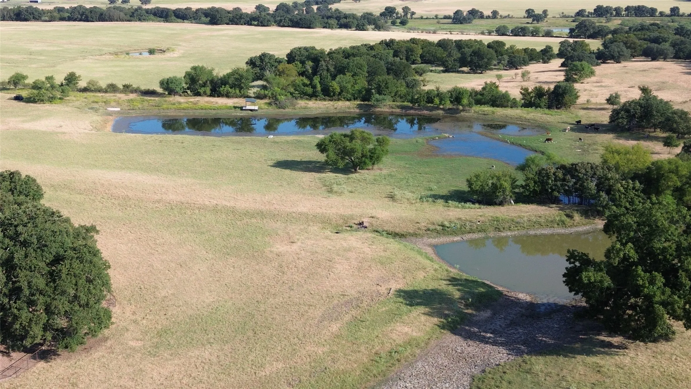 Expansive acreage featuring multiple ponds, mature trees, and varied terrain